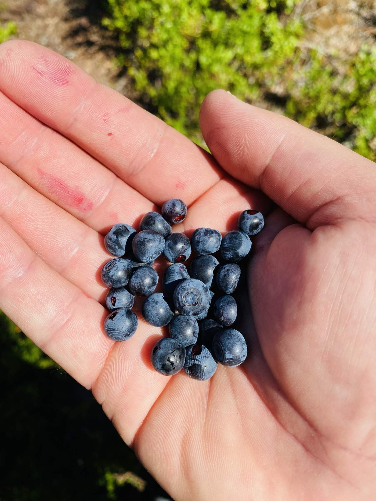 Bild ohne Beschreibung Bild ohne Beschreibung