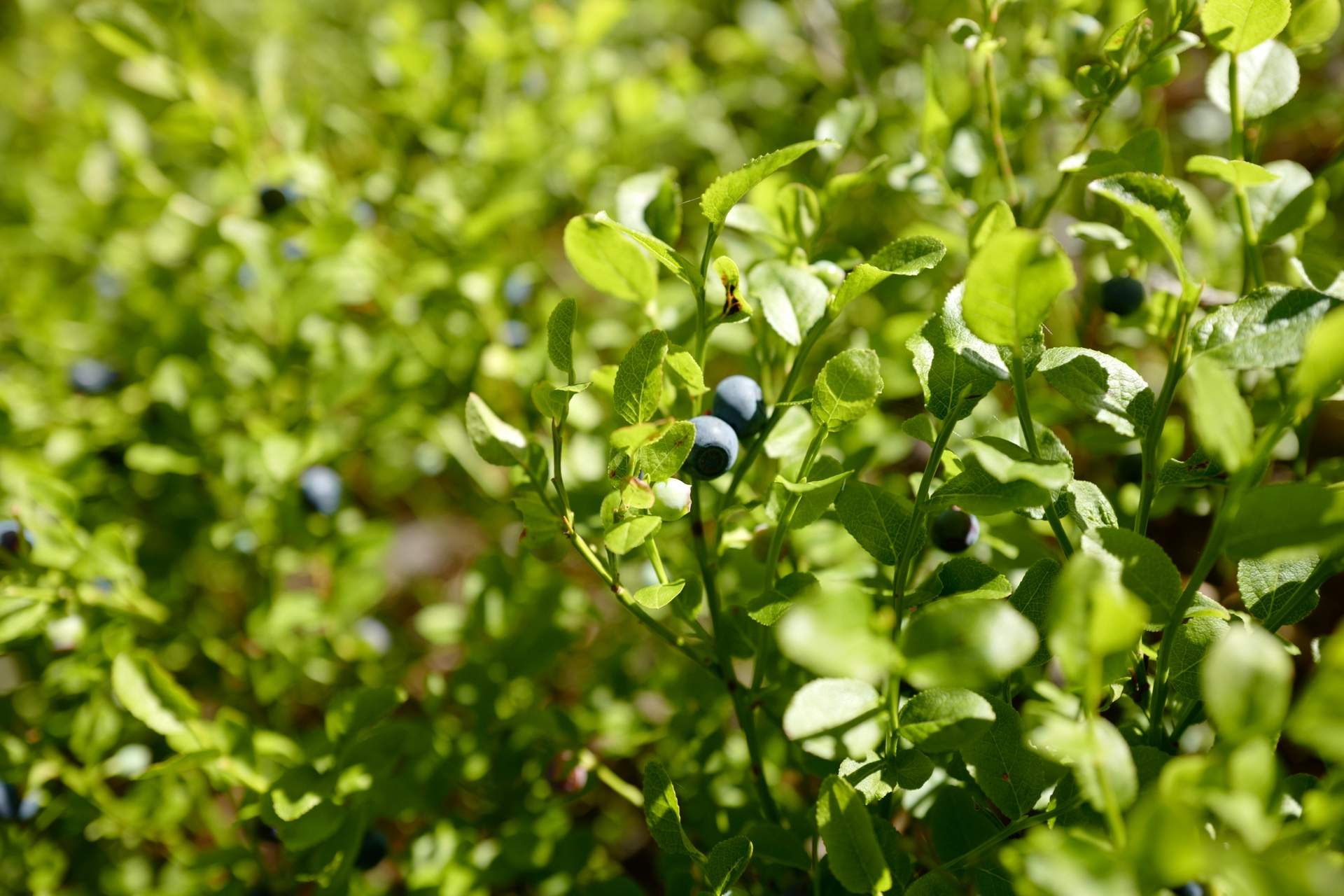 Bild ohne Beschreibung Bild ohne Beschreibung