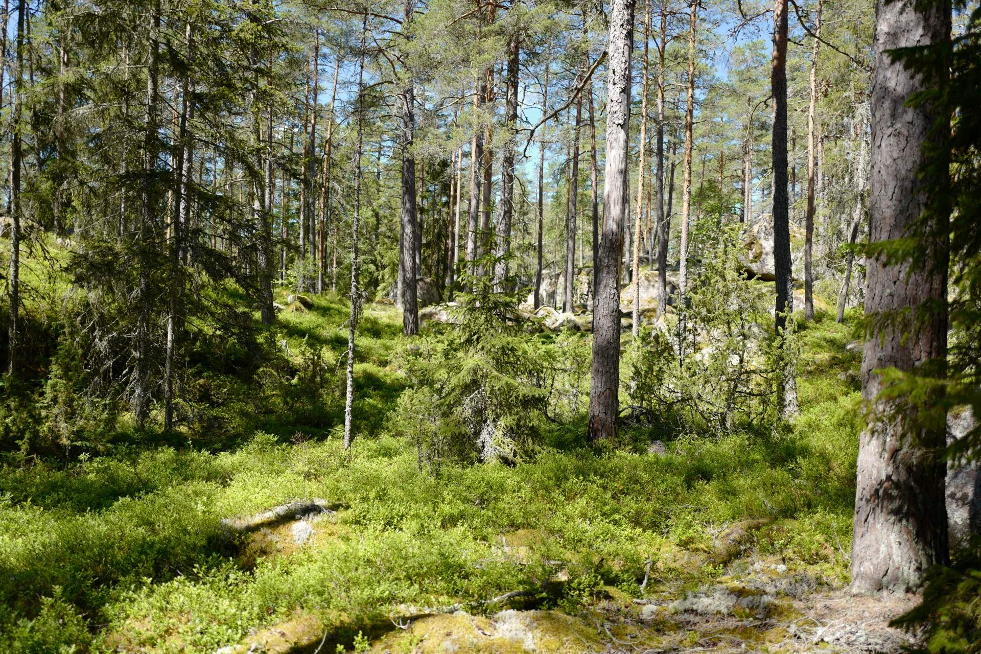 Bild ohne Beschreibung Bild ohne Beschreibung