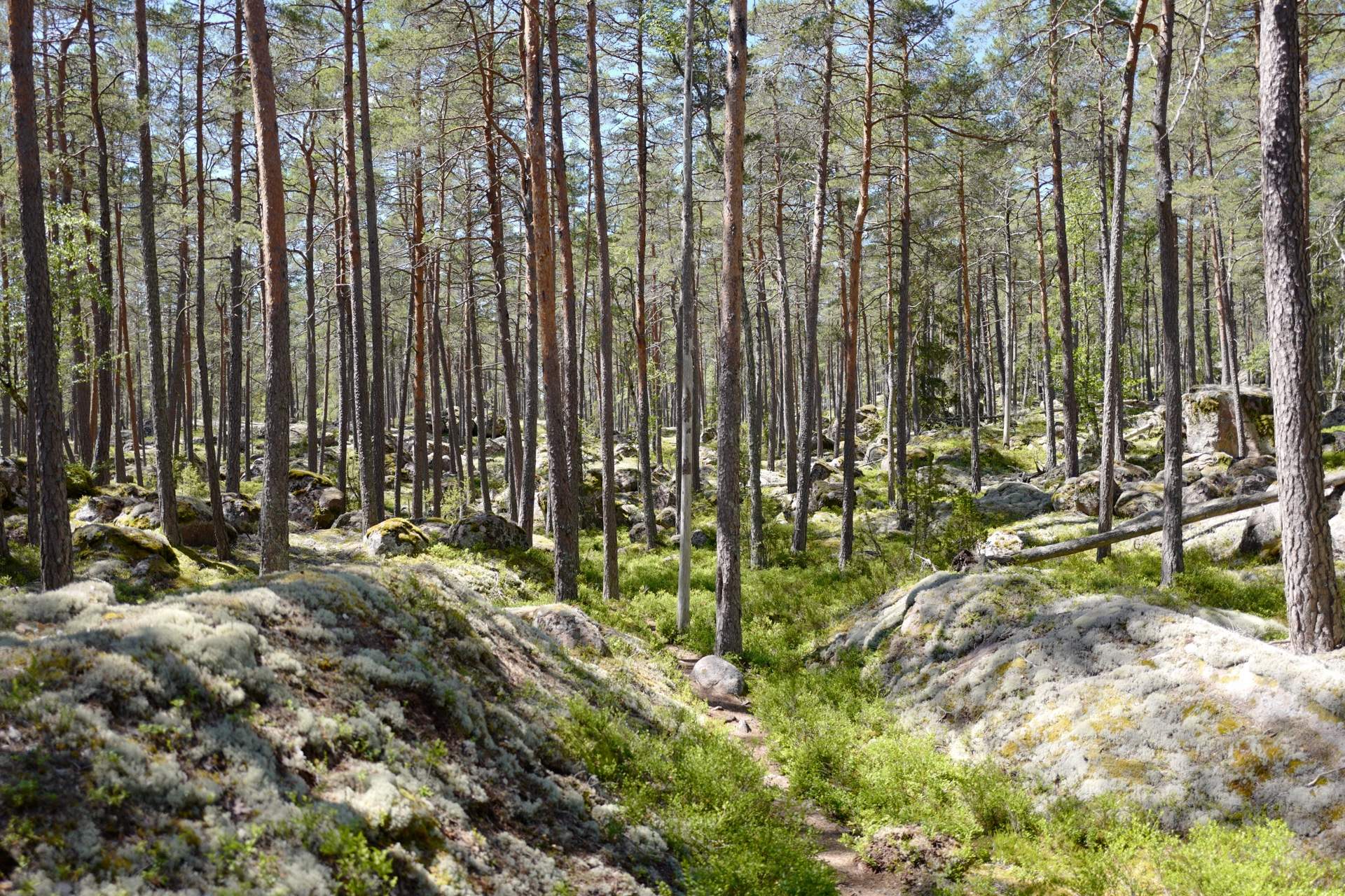 Bild ohne Beschreibung Bild ohne Beschreibung