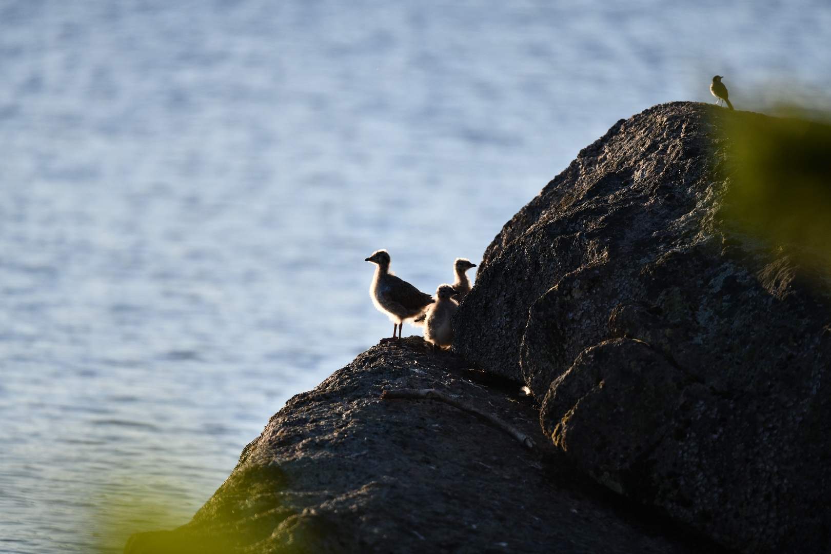 Bild ohne Beschreibung Bild ohne Beschreibung