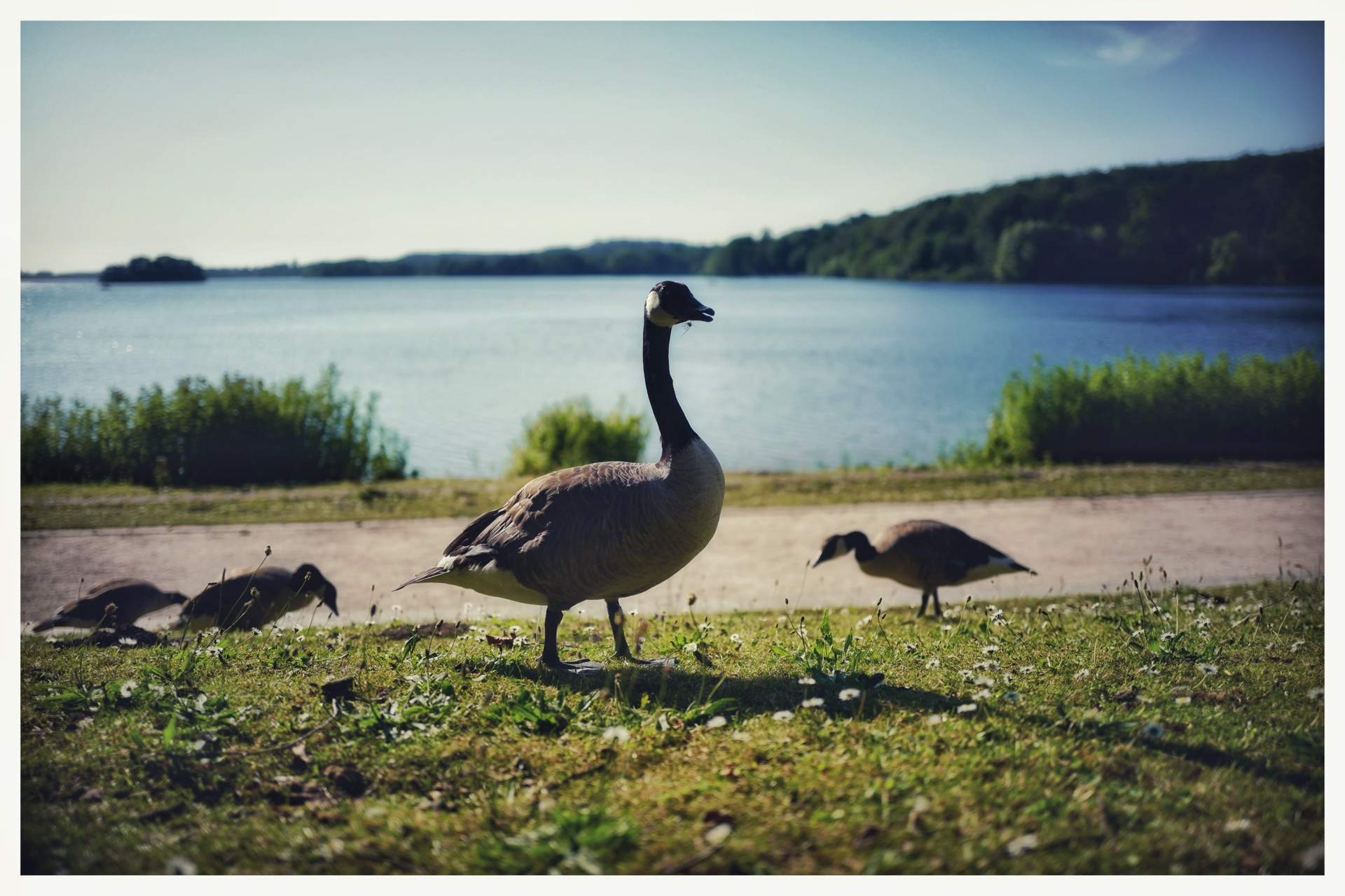 Bild ohne Beschreibung Bild ohne Beschreibung
