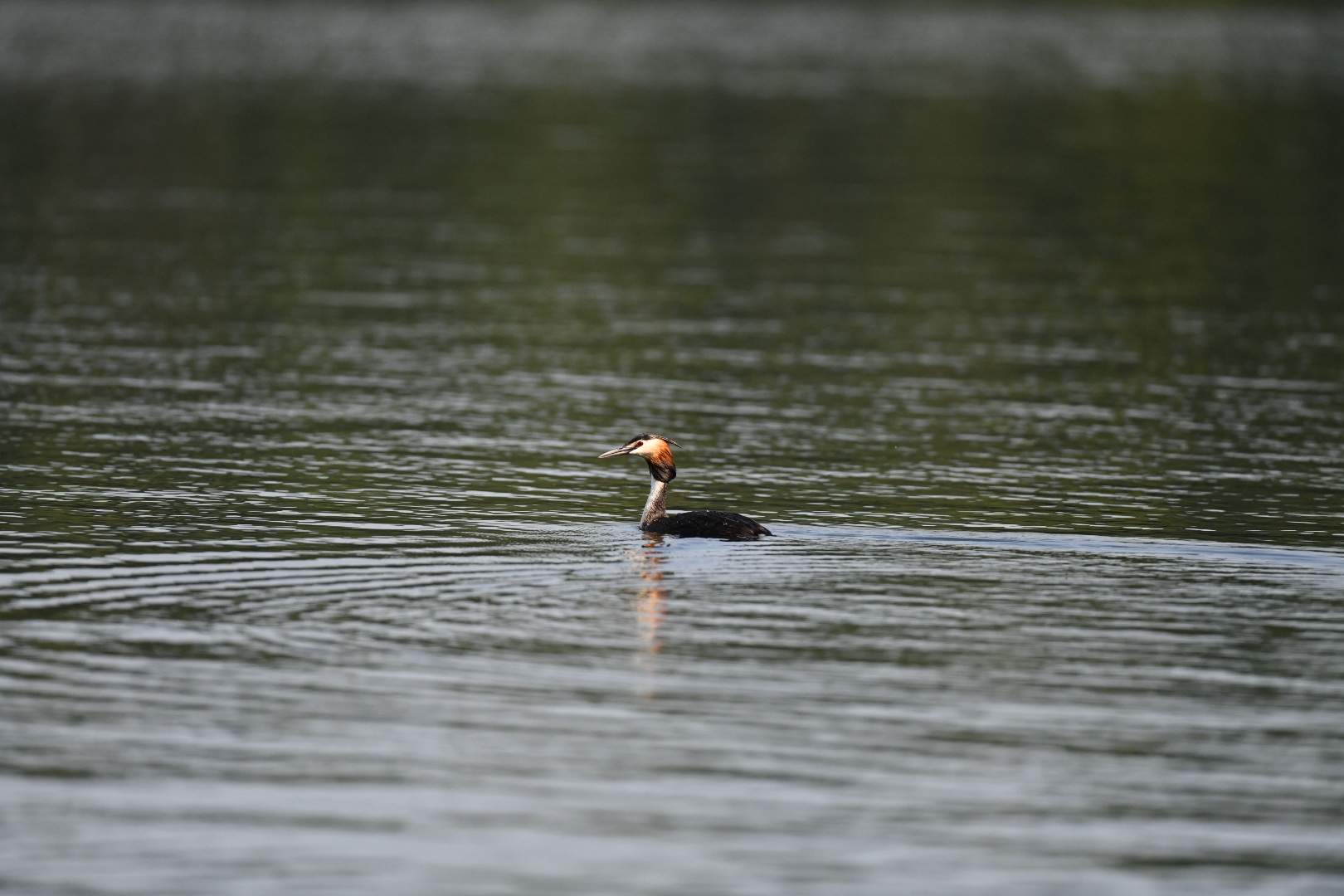 Bild ohne Beschreibung Bild ohne Beschreibung