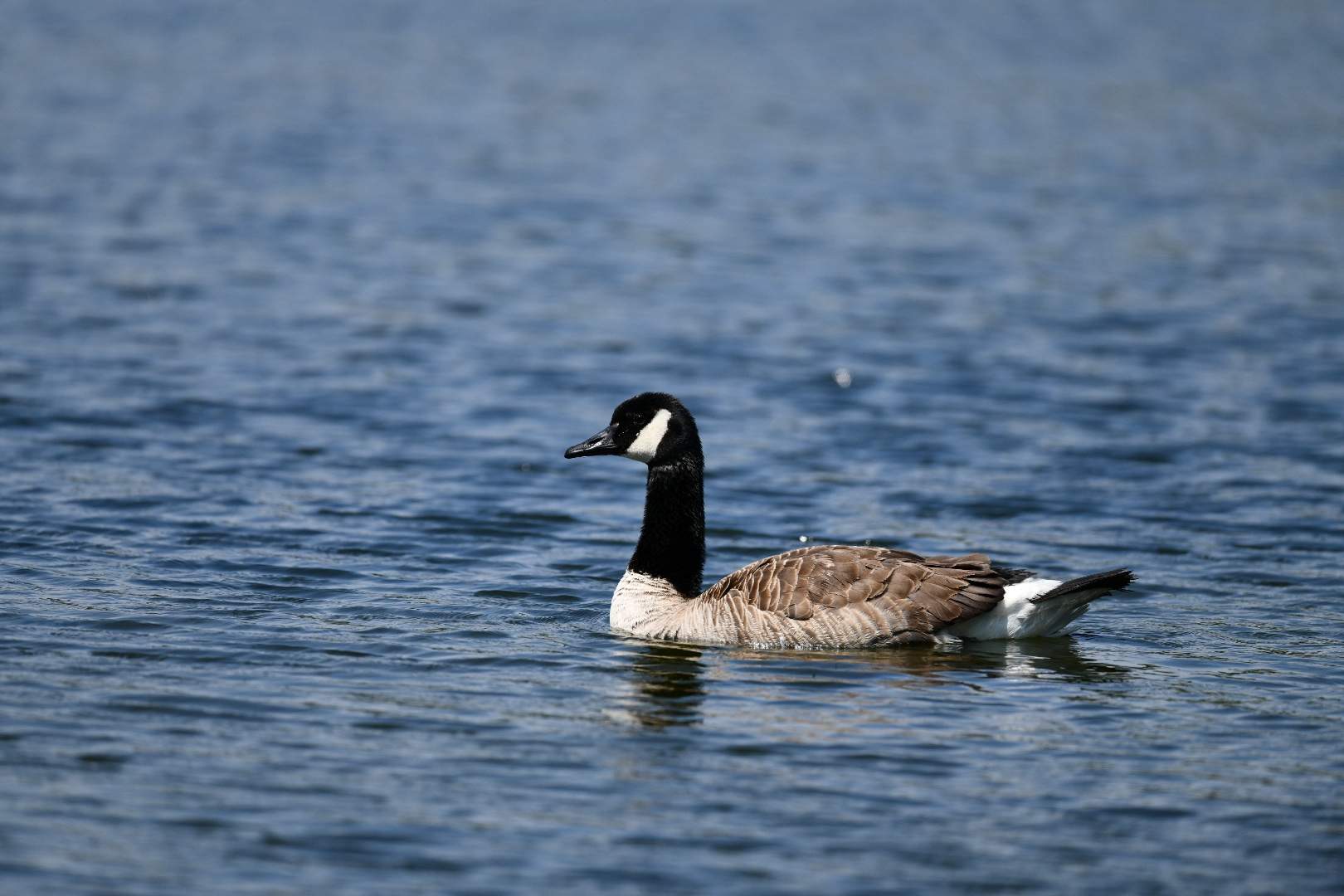 Bild ohne Beschreibung Bild ohne Beschreibung