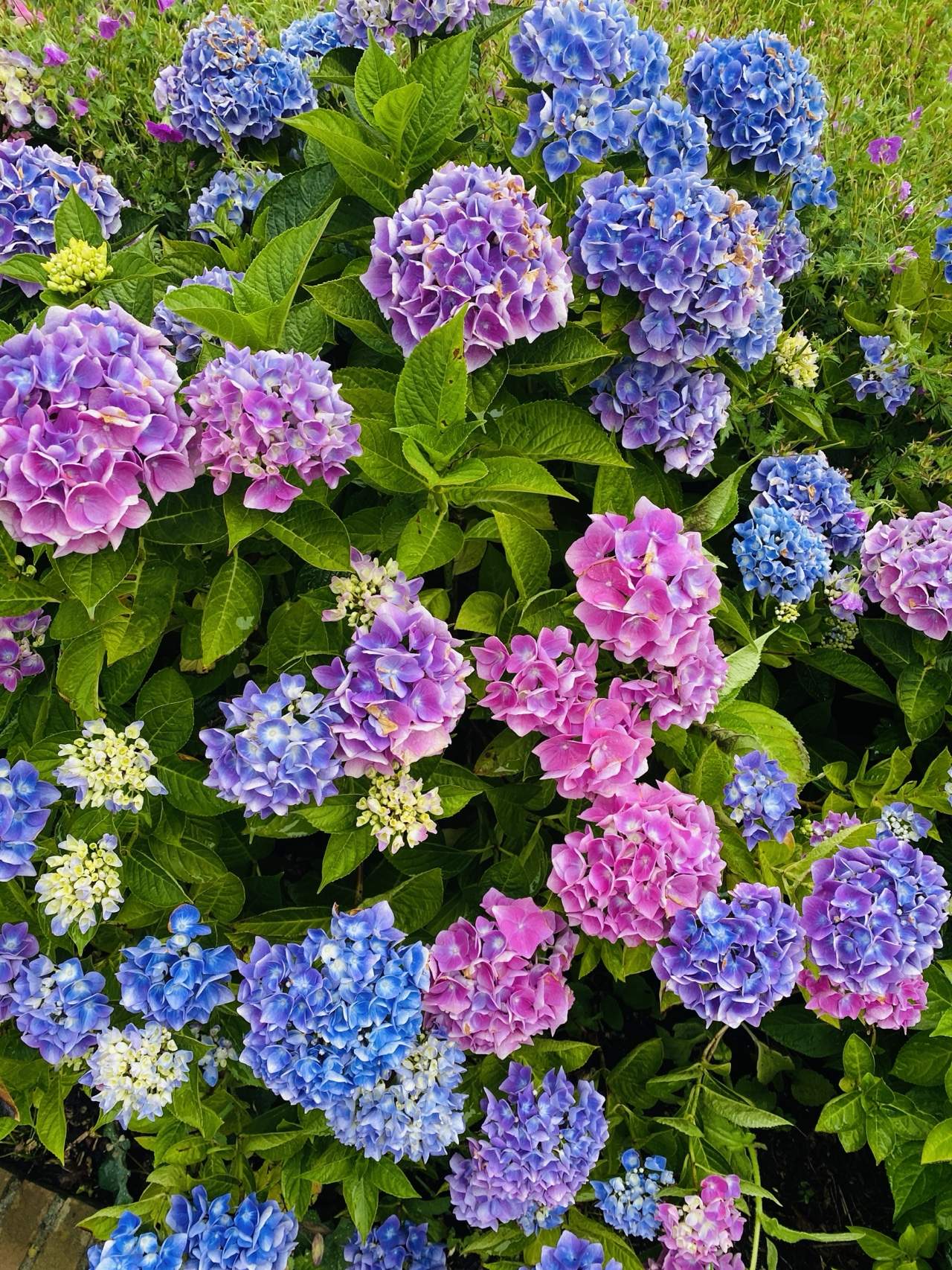 Bild ohne Beschreibung Bild ohne Beschreibung