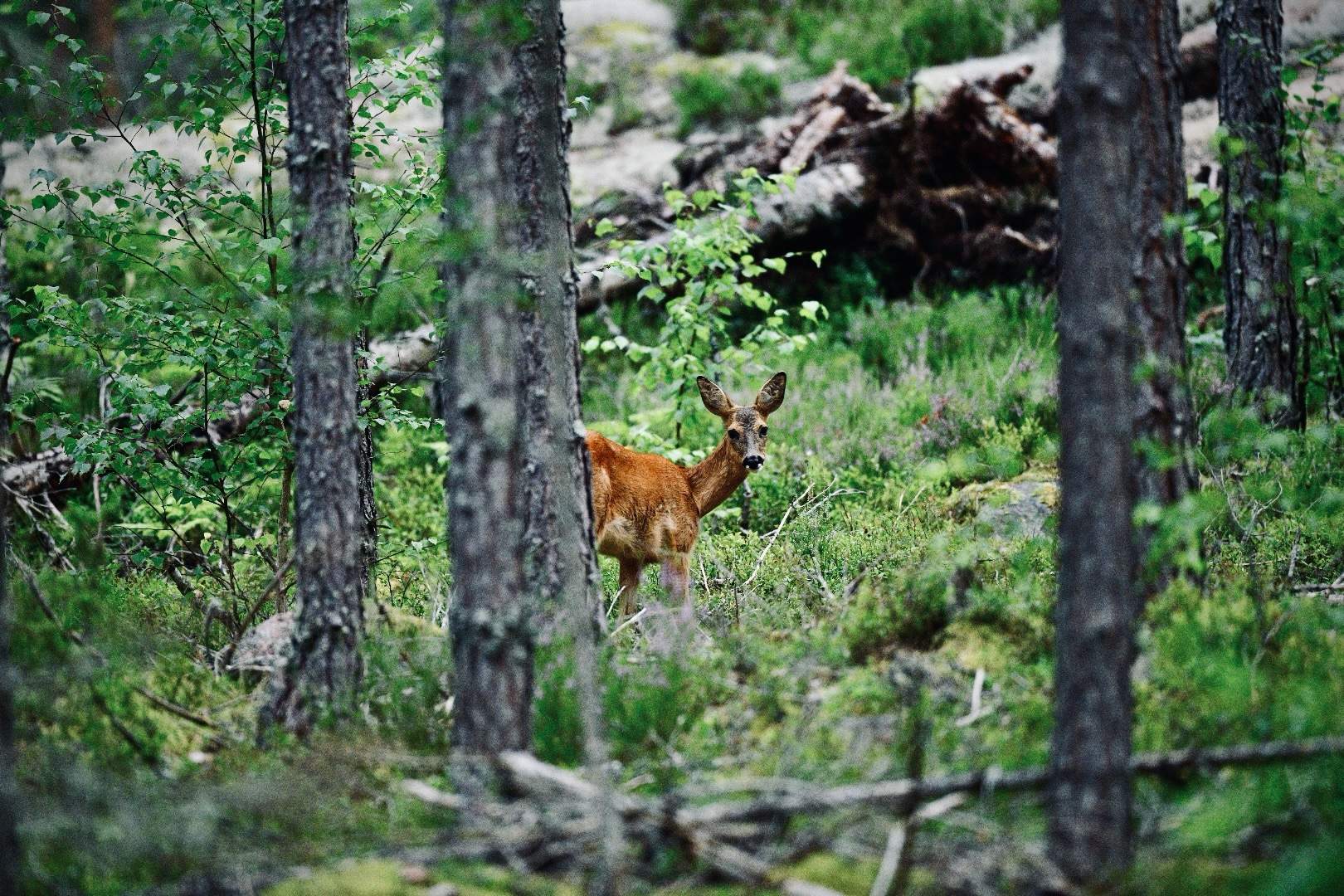 Bild ohne Beschreibung Bild ohne Beschreibung