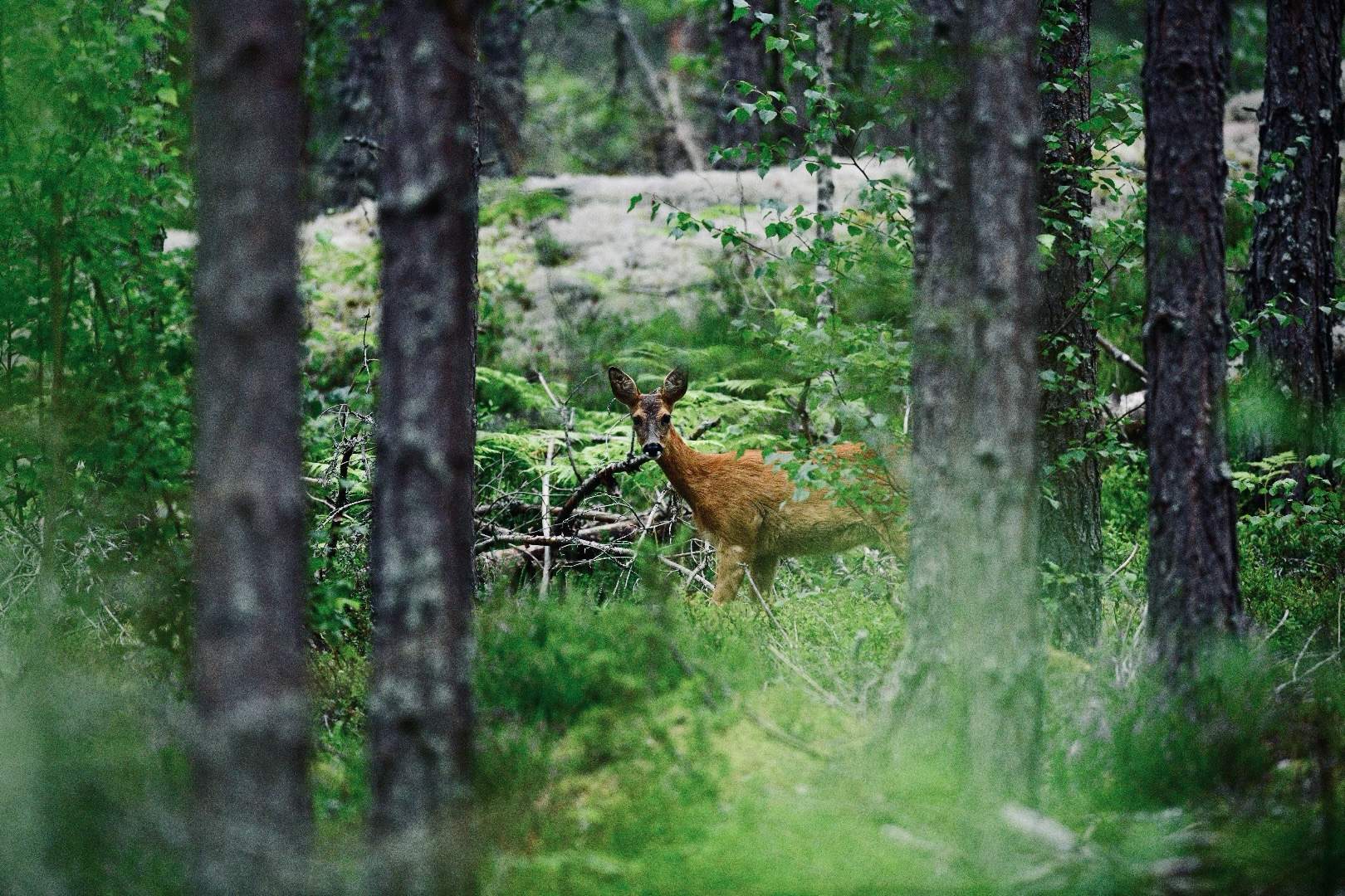 Bild ohne Beschreibung Bild ohne Beschreibung