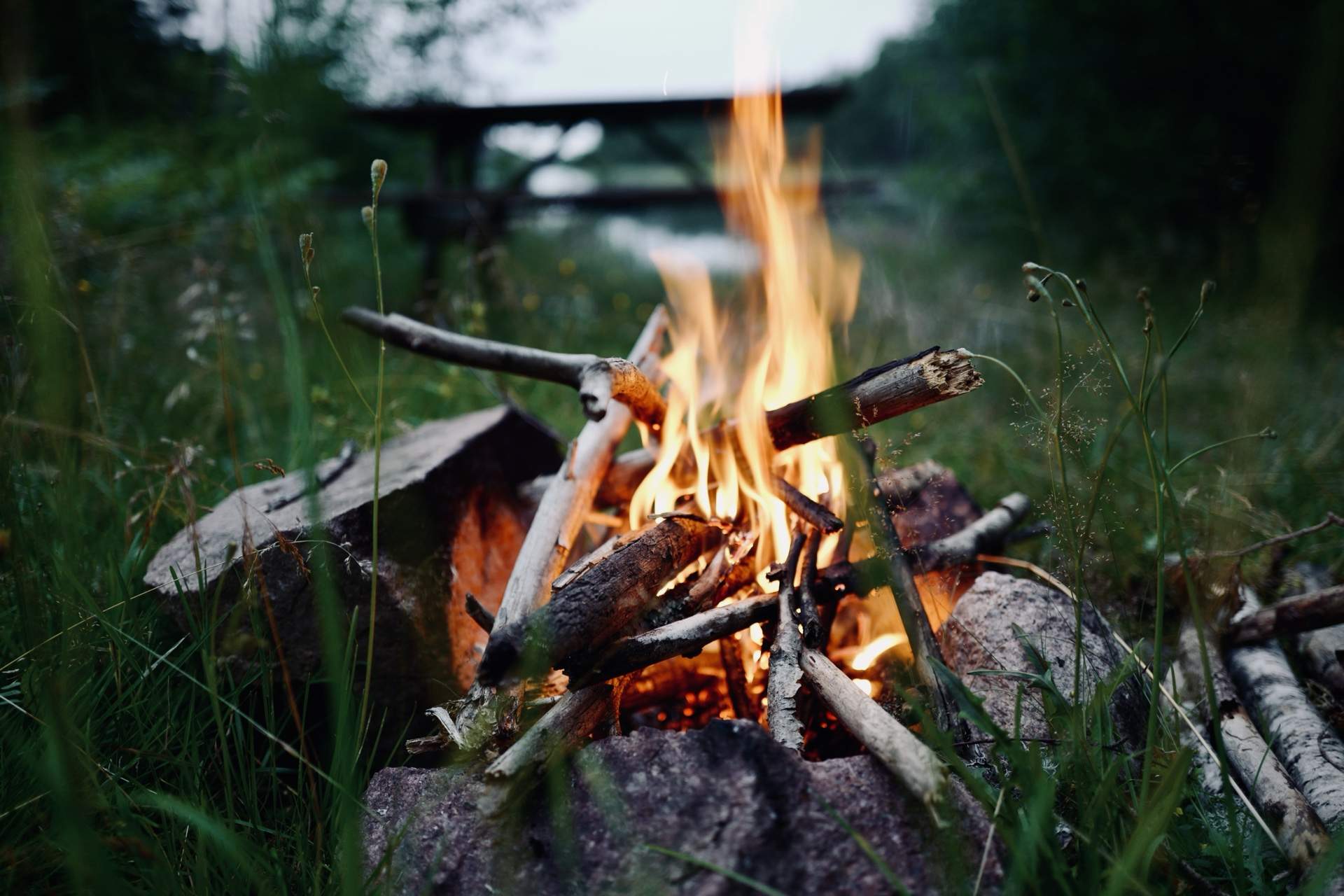 Bild ohne Beschreibung Bild ohne Beschreibung