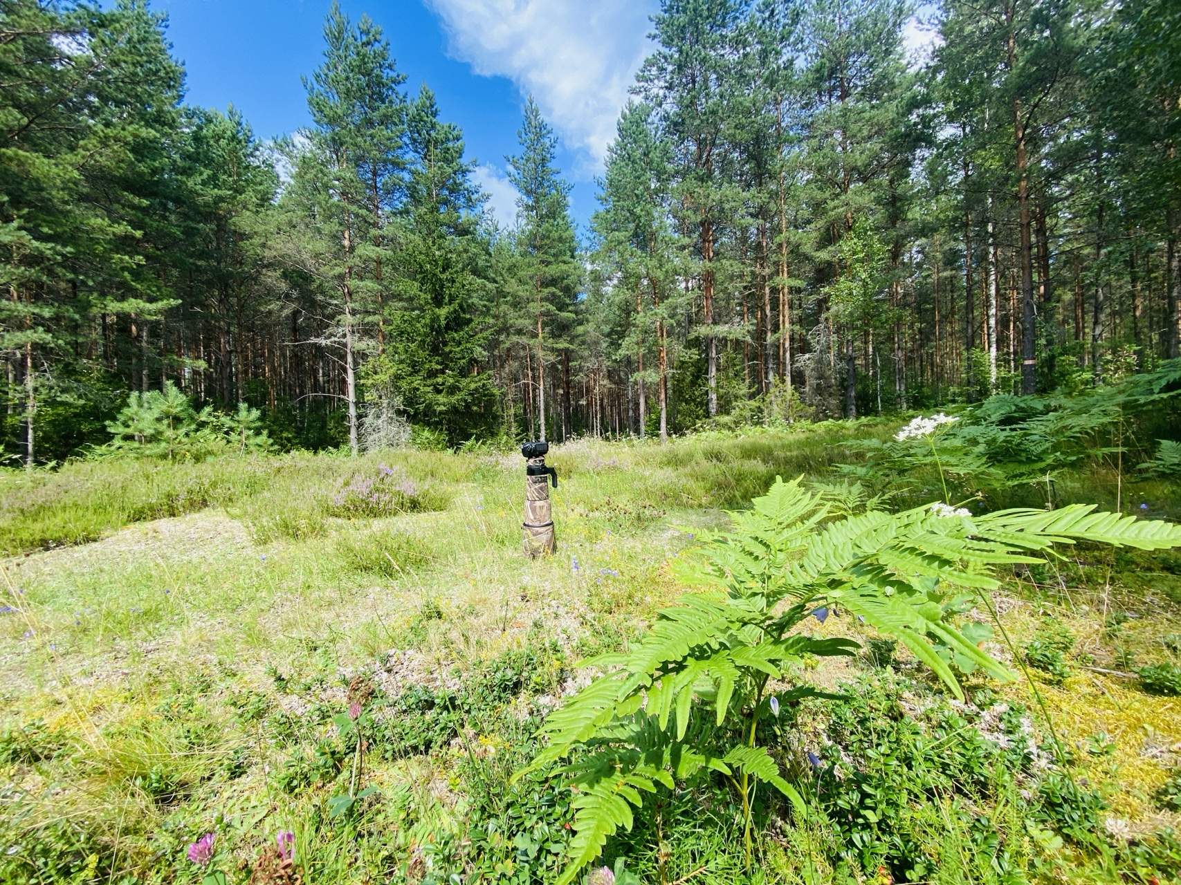 Bild ohne Beschreibung Bild ohne Beschreibung