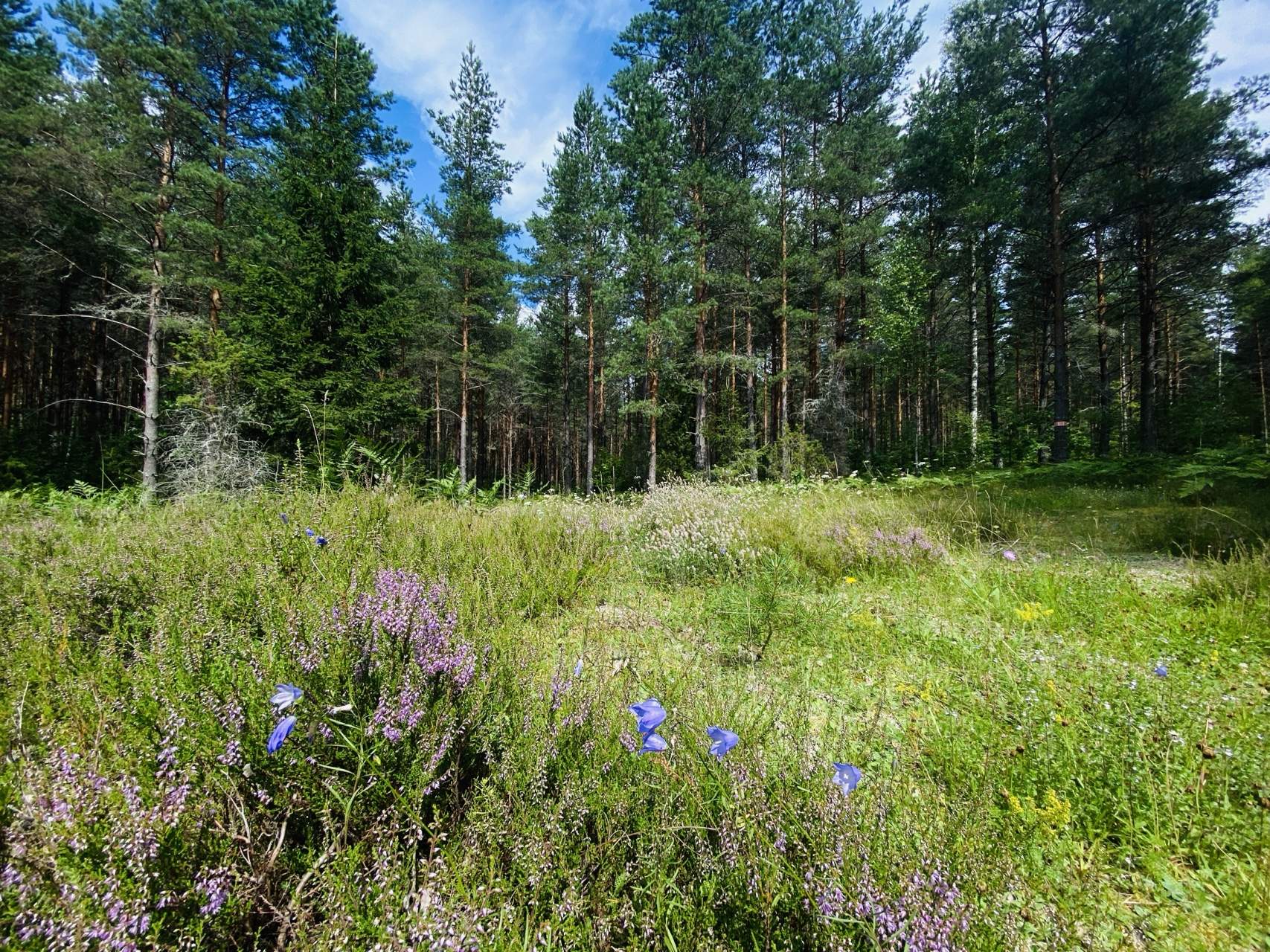 Bild ohne Beschreibung Bild ohne Beschreibung