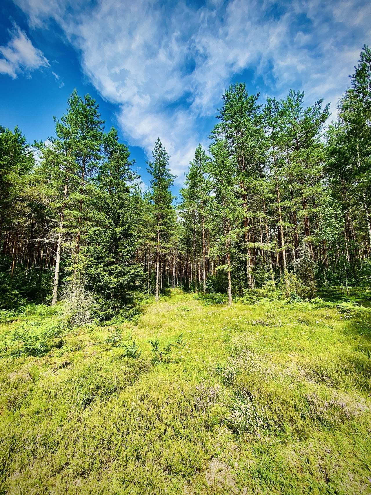 Bild ohne Beschreibung Bild ohne Beschreibung