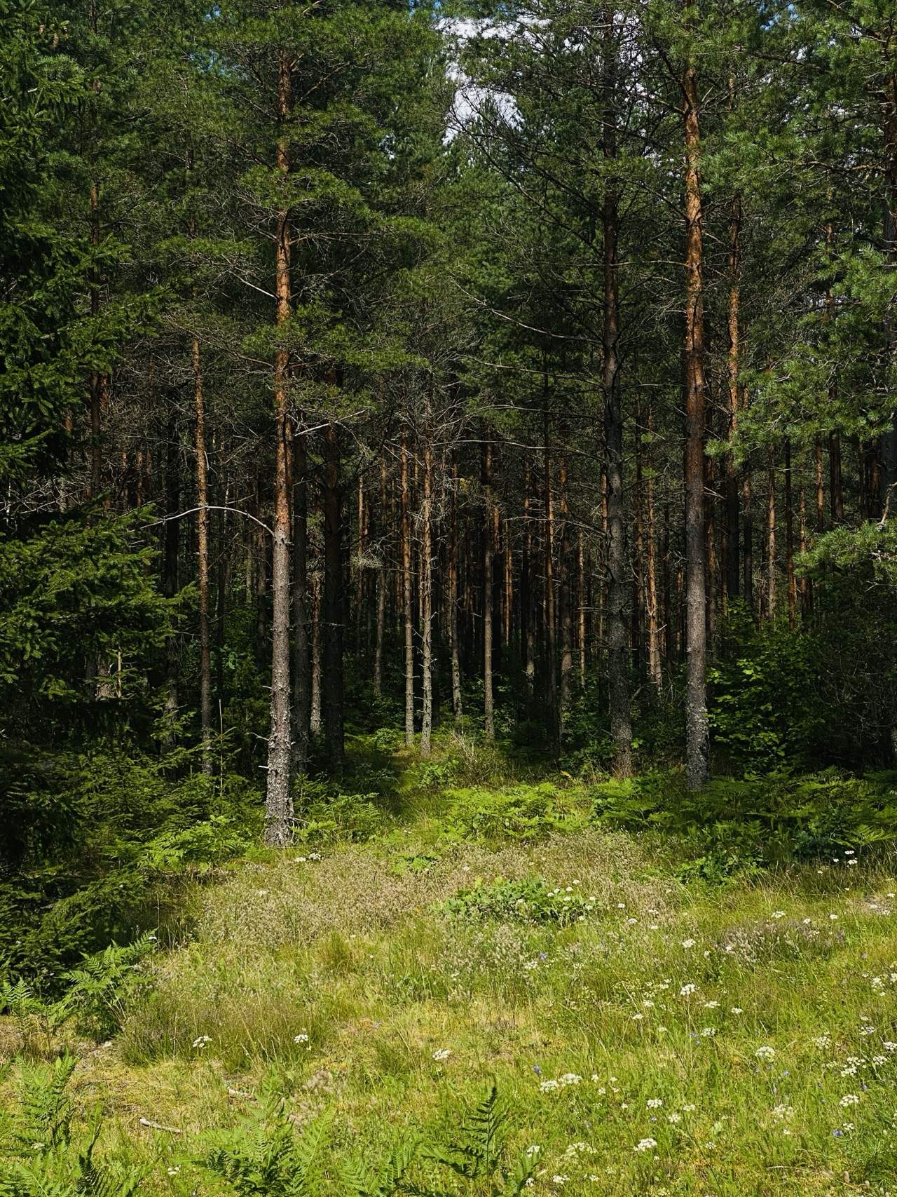 Bild ohne Beschreibung Bild ohne Beschreibung