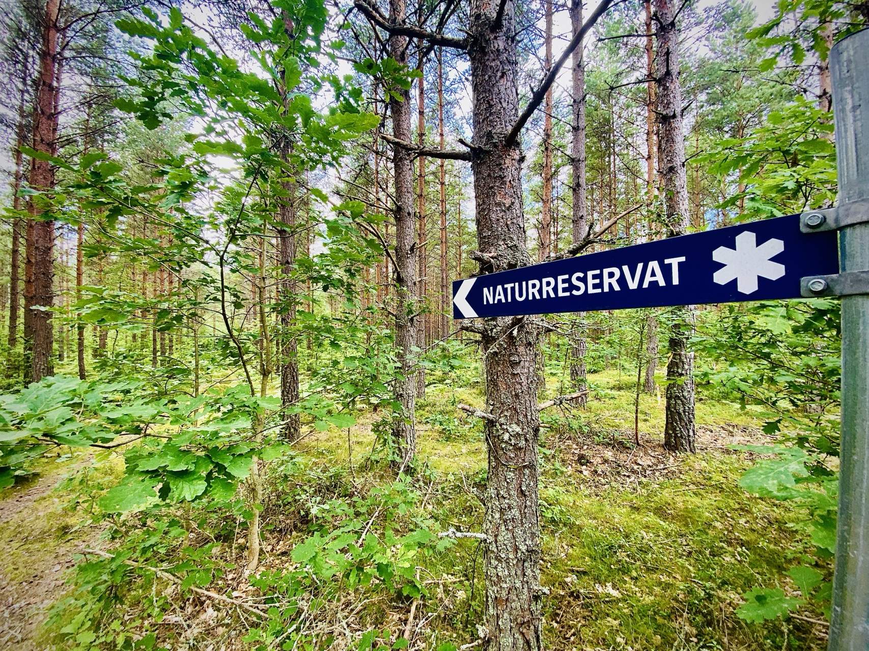 Bild ohne Beschreibung Bild ohne Beschreibung