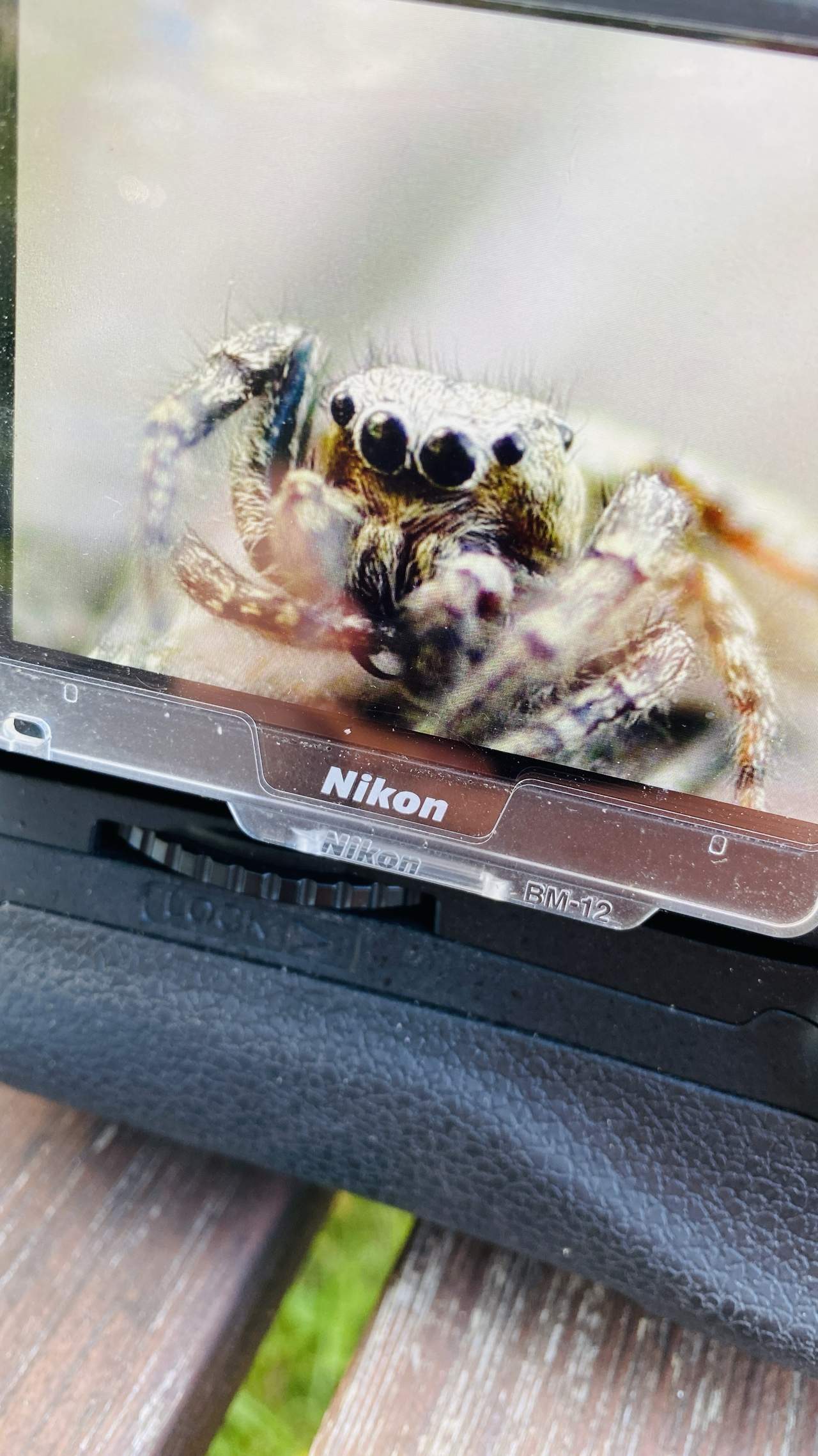 Bild ohne Beschreibung Bild ohne Beschreibung