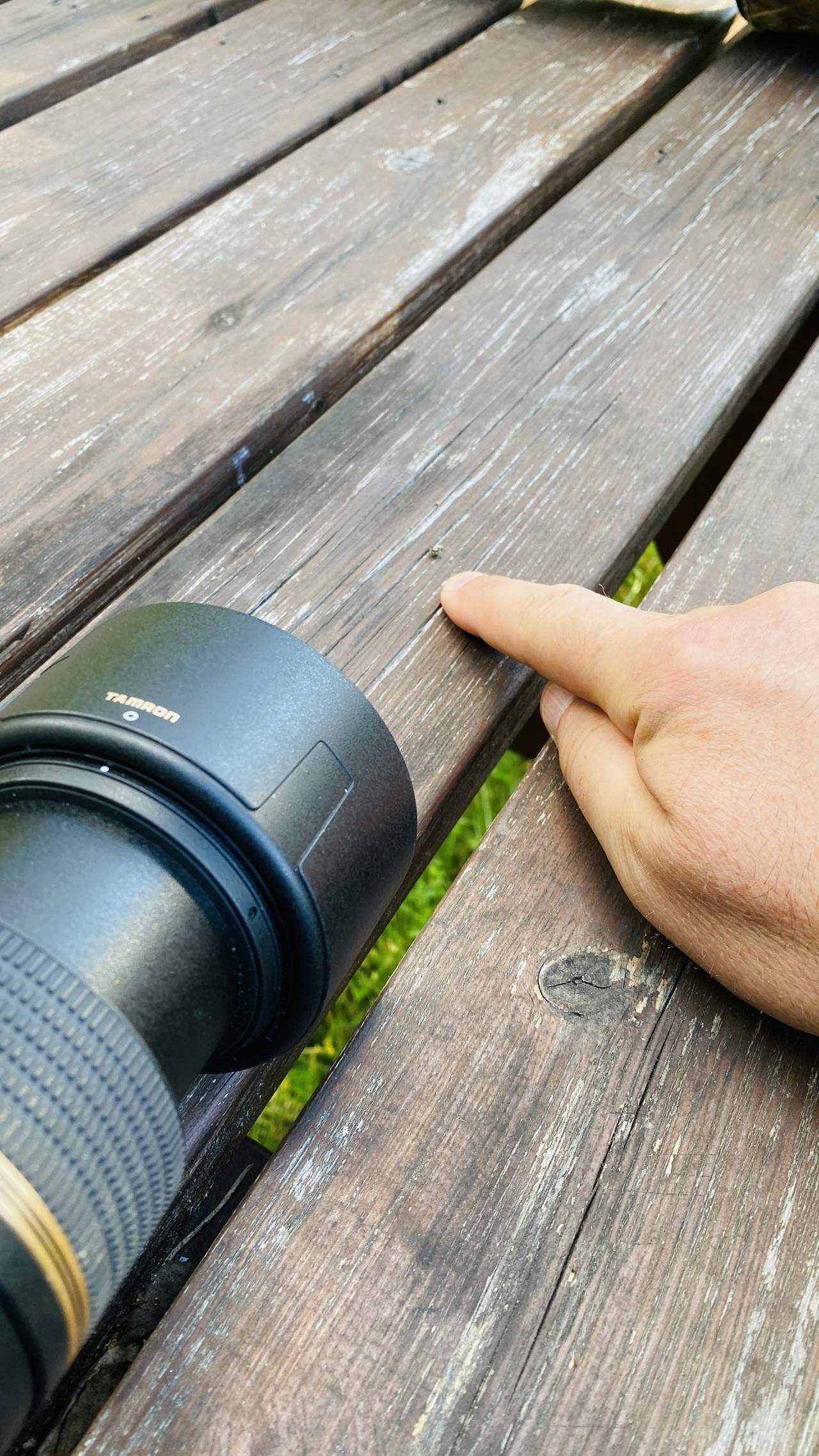 Bild ohne Beschreibung Bild ohne Beschreibung