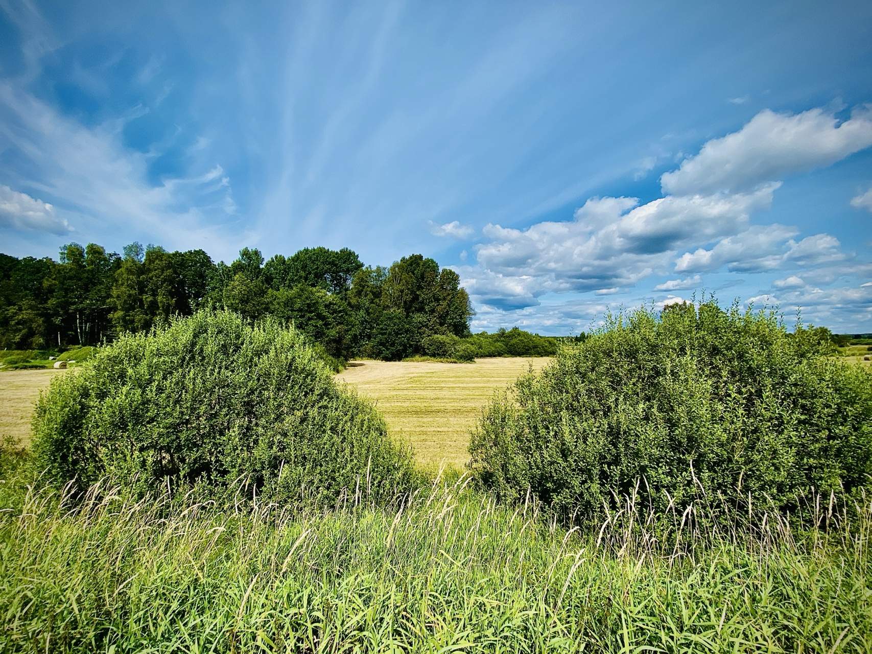 Bild ohne Beschreibung Bild ohne Beschreibung
