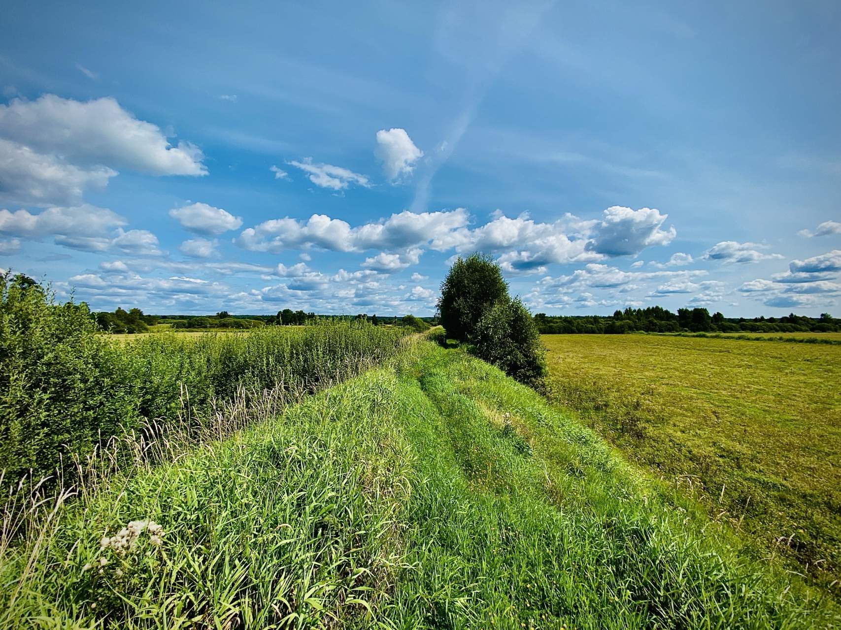 Bild ohne Beschreibung Bild ohne Beschreibung