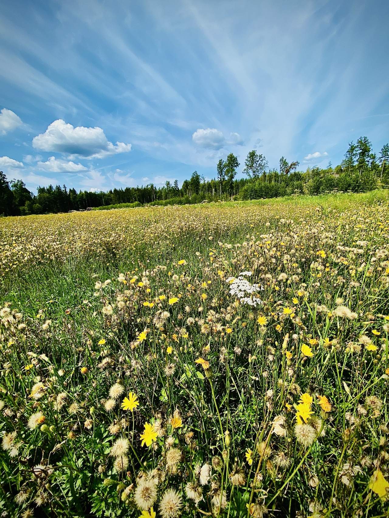 Bild ohne Beschreibung Bild ohne Beschreibung