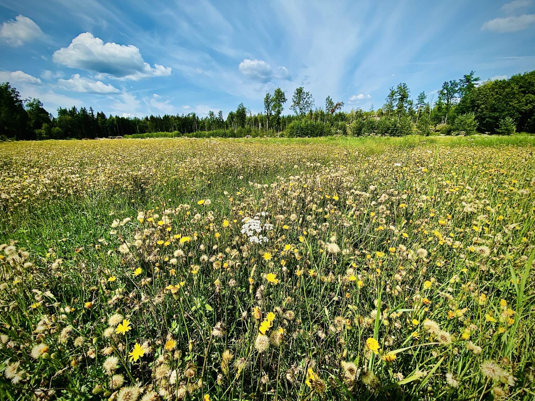 Bild ohne Beschreibung Bild ohne Beschreibung