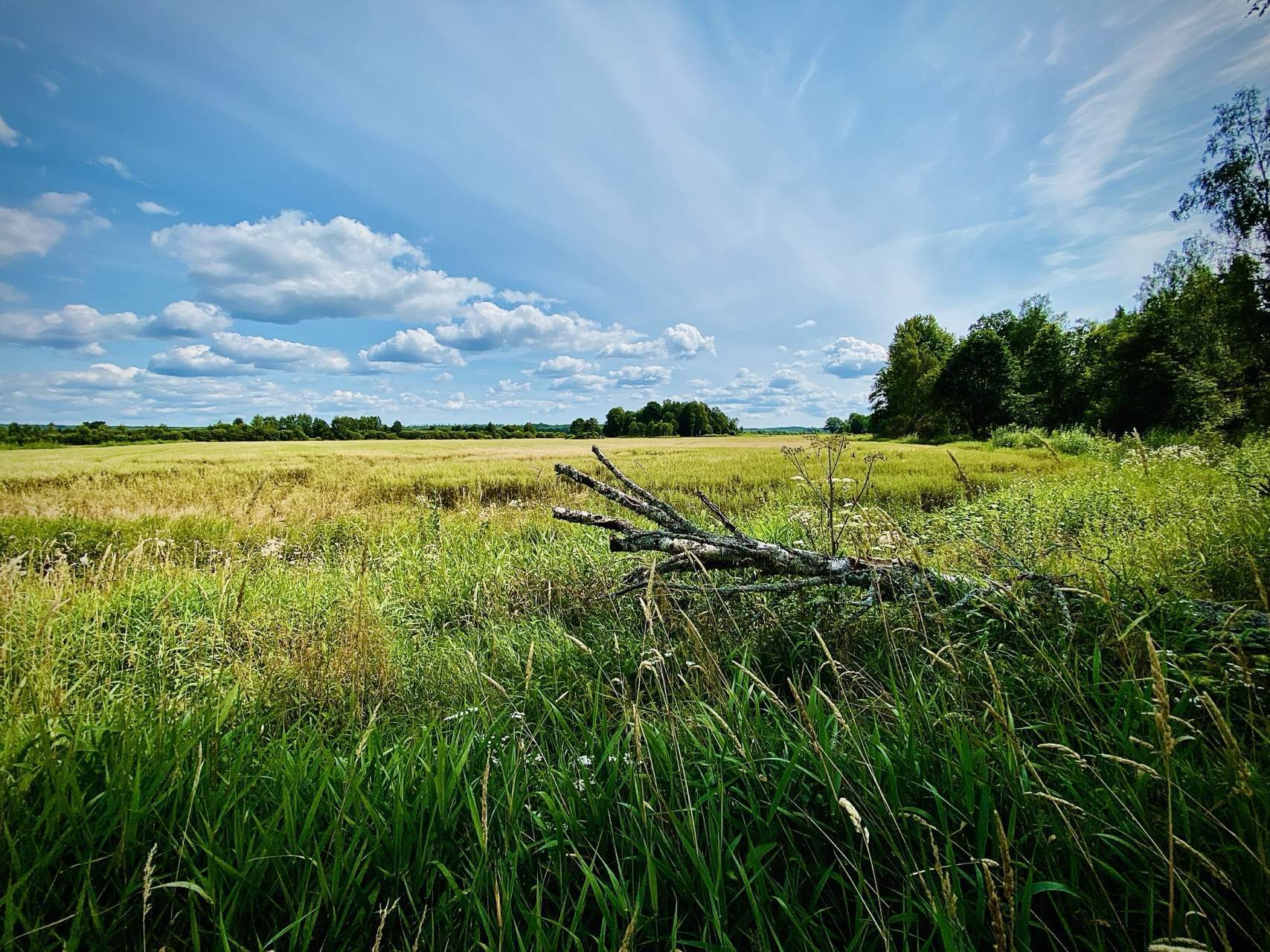 Bild ohne Beschreibung Bild ohne Beschreibung