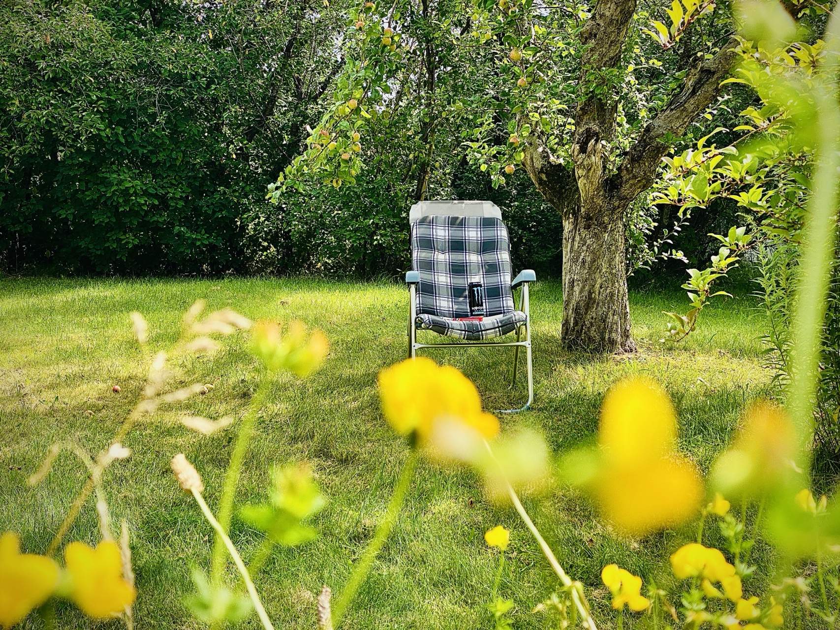 Bild ohne Beschreibung Bild ohne Beschreibung