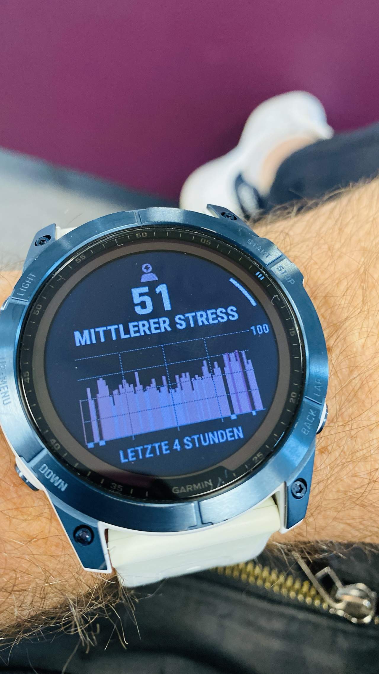 Bild ohne Beschreibung Bild ohne Beschreibung