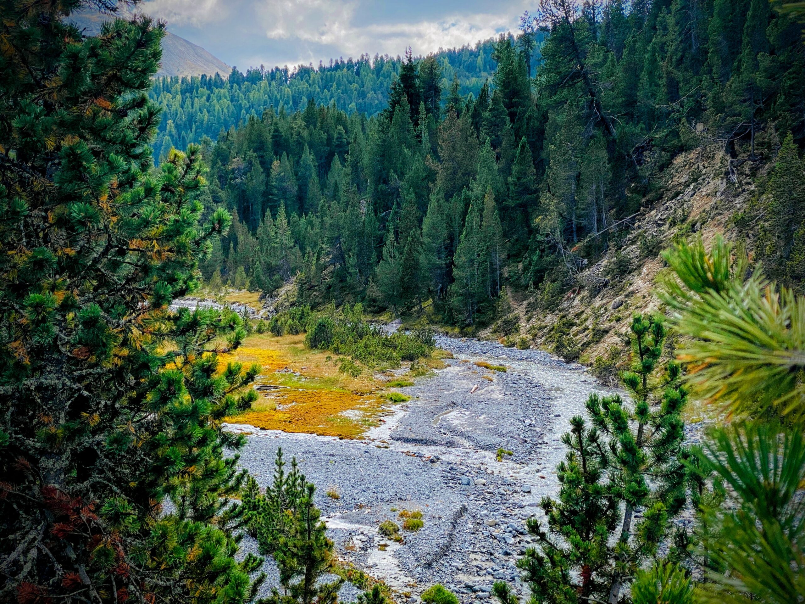 Bild ohne Beschreibung Bild ohne Beschreibung