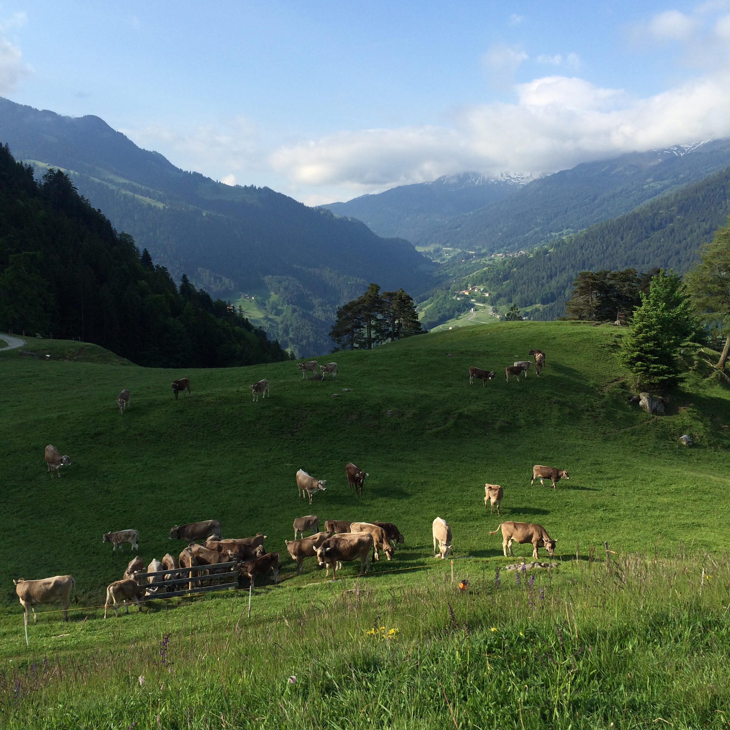 Bild ohne Beschreibung Bild ohne Beschreibung