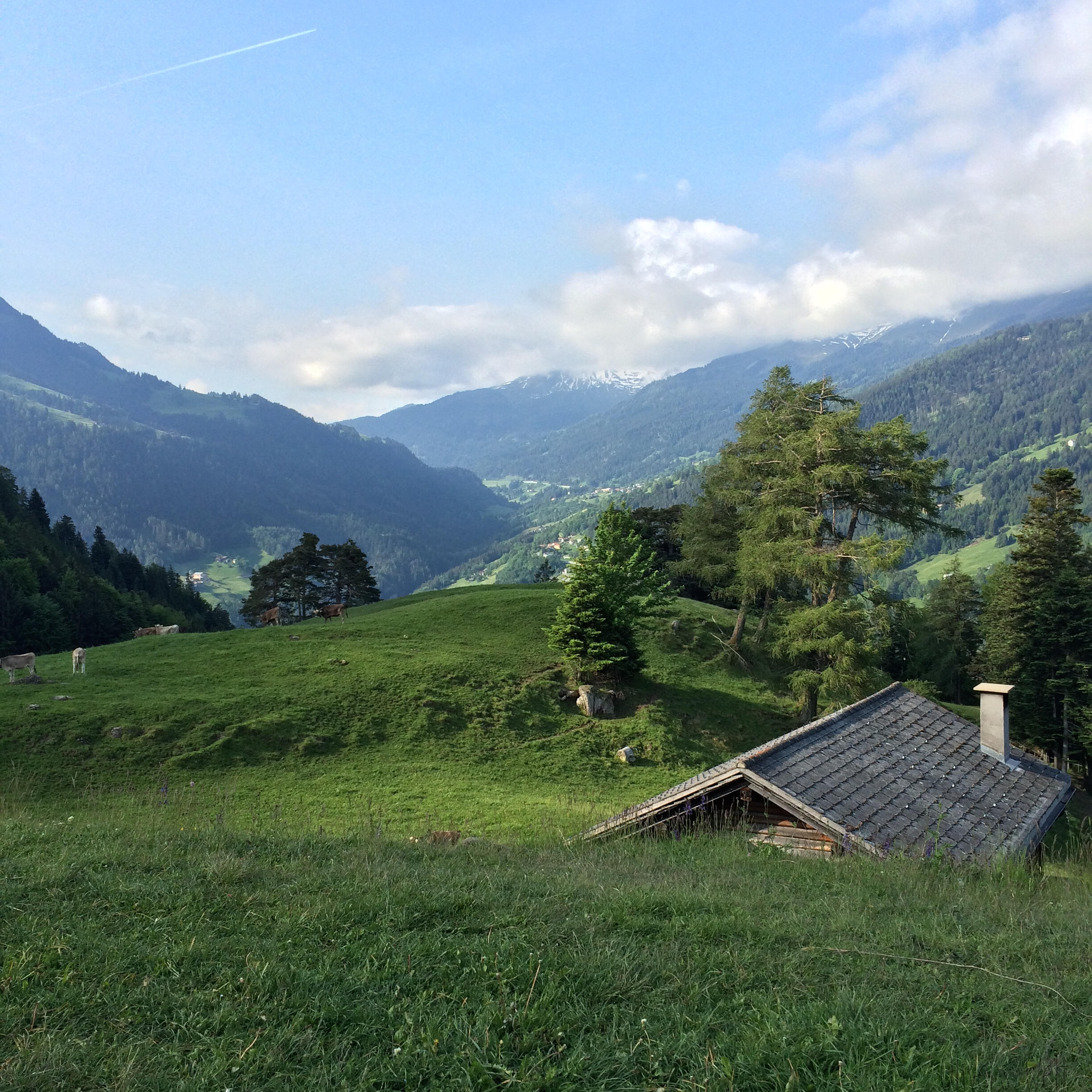 Bild ohne Beschreibung Bild ohne Beschreibung