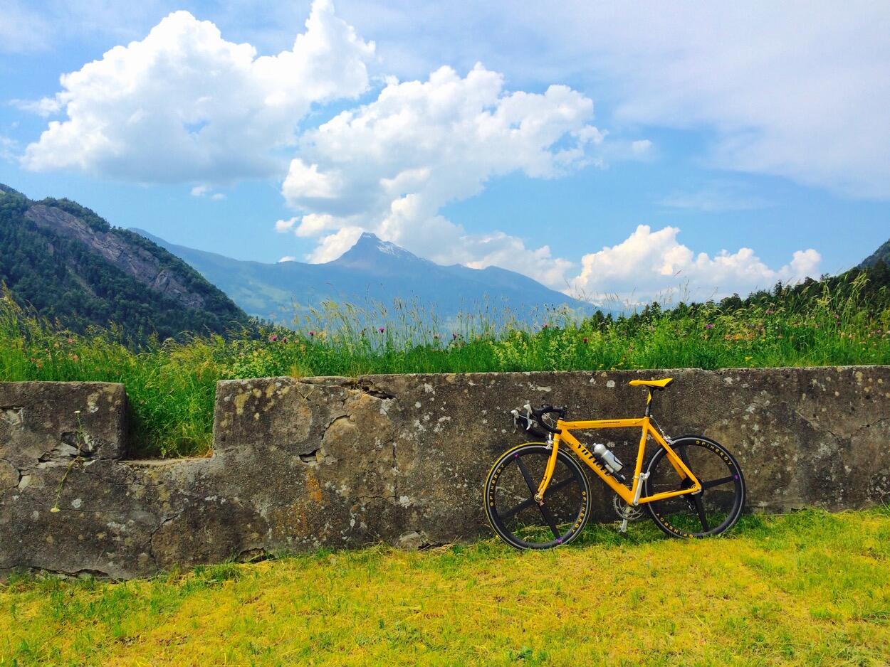 Bild ohne Beschreibung