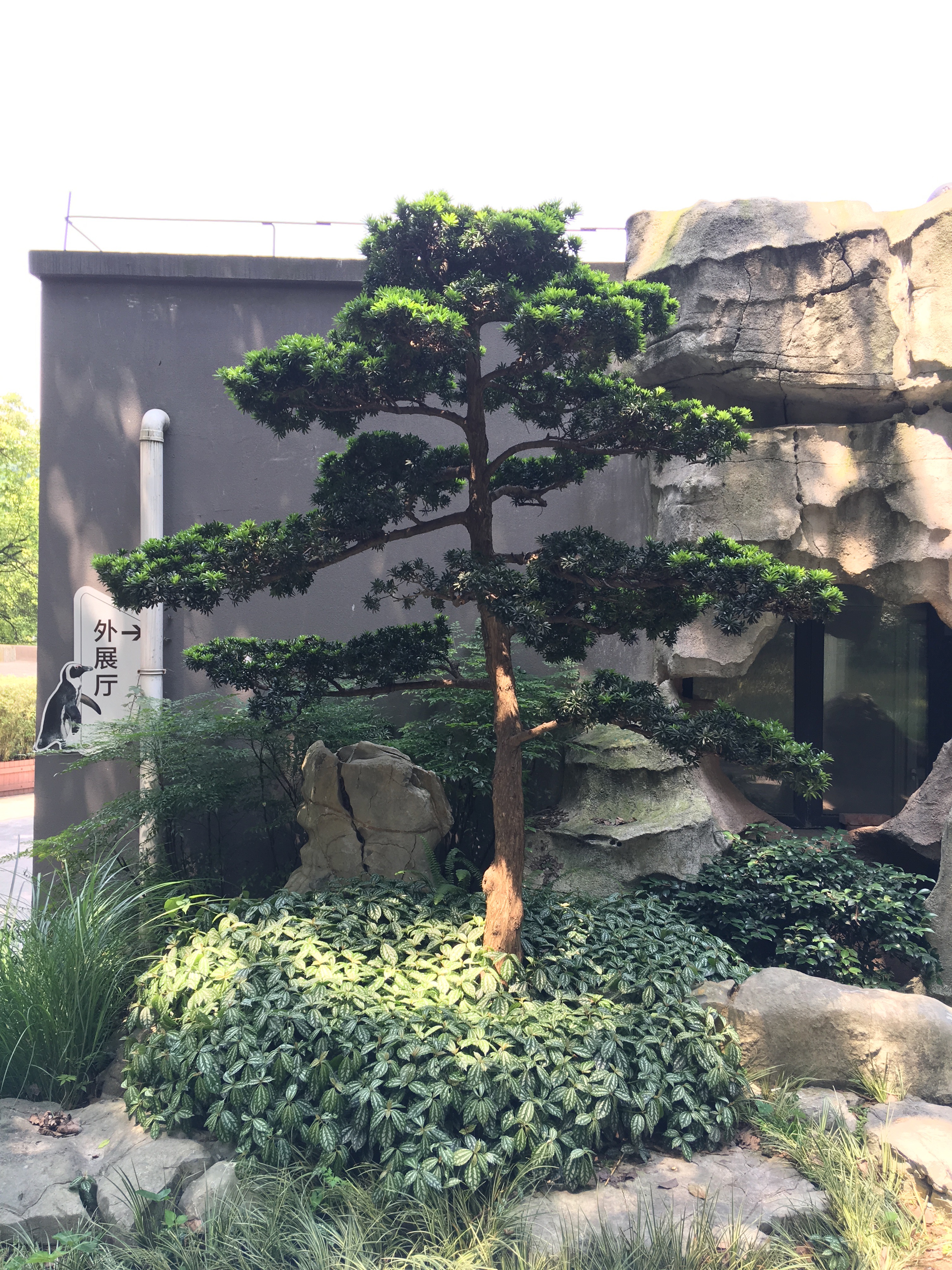 Bild ohne Beschreibung Bild ohne Beschreibung