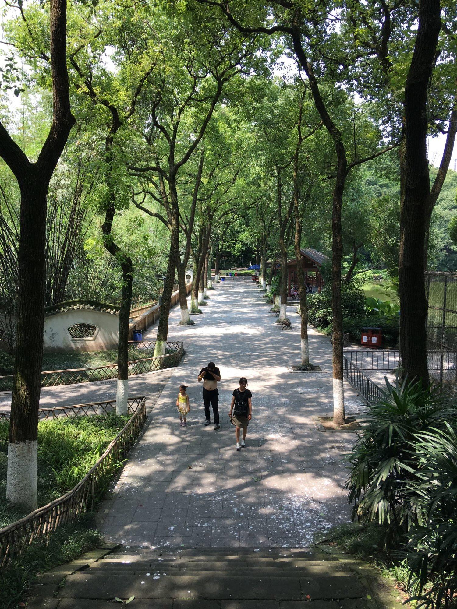 Bild ohne Beschreibung Bild ohne Beschreibung