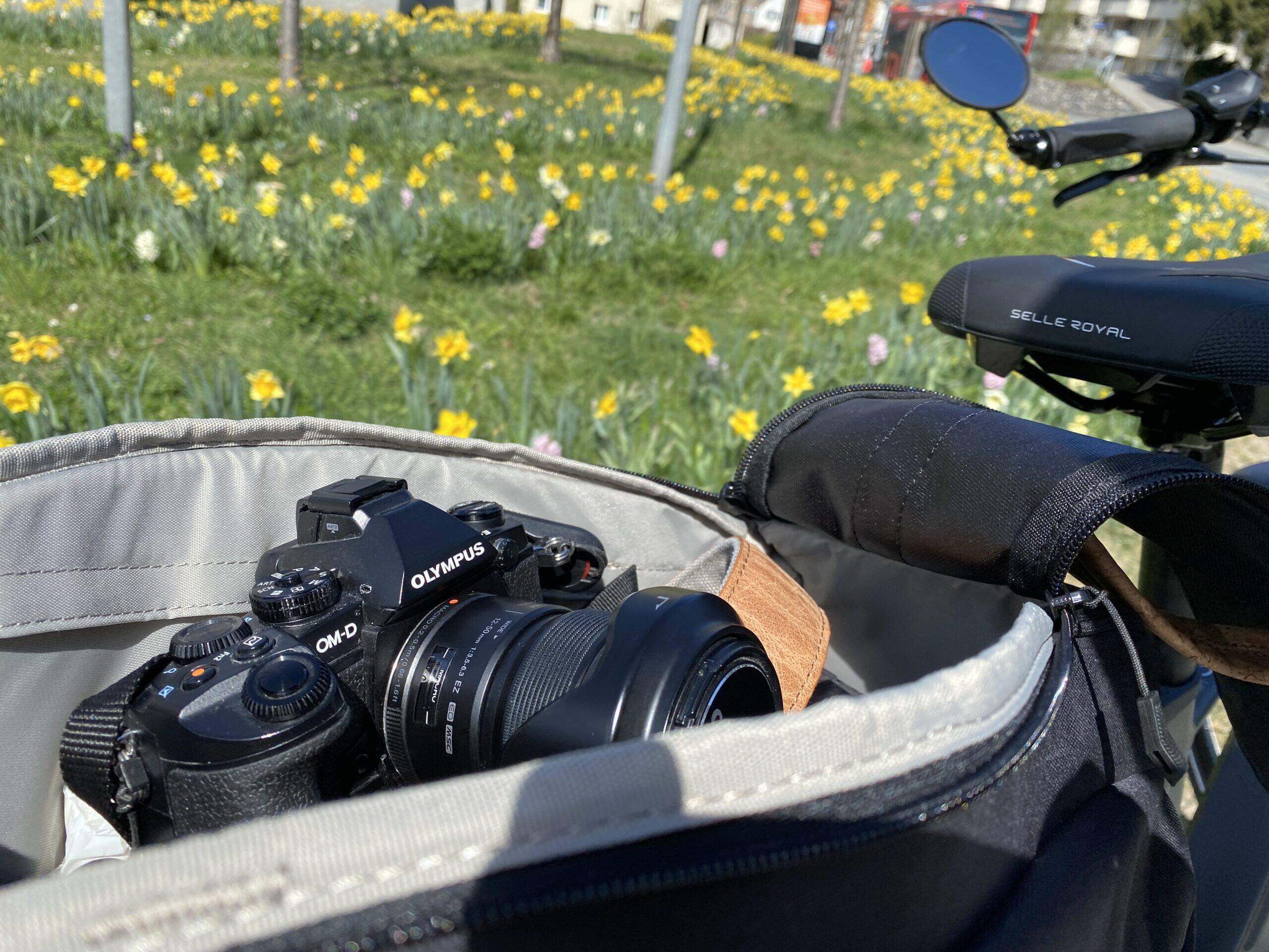 Bild ohne Beschreibung