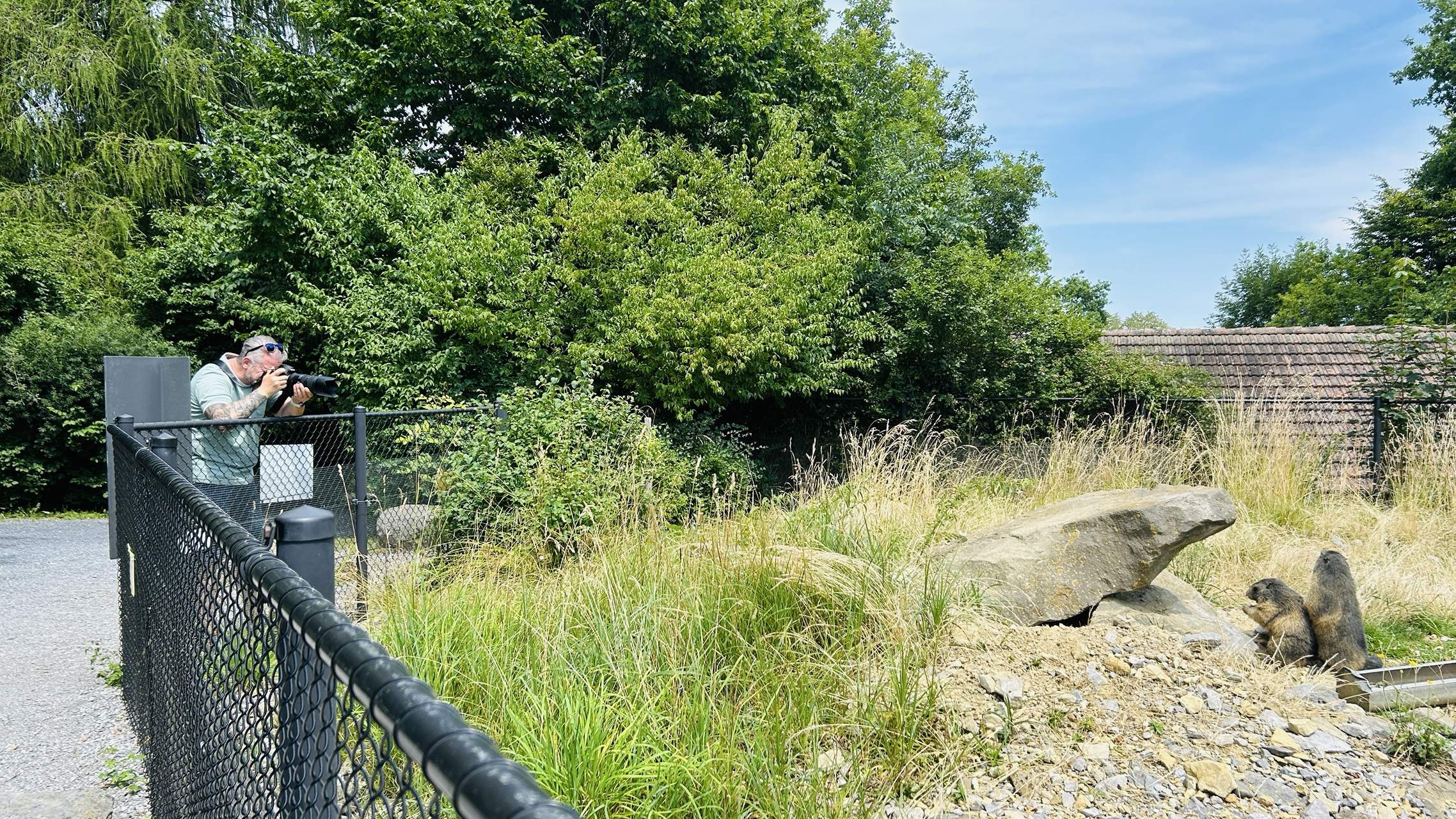 Bild ohne Beschreibung Bild ohne Beschreibung