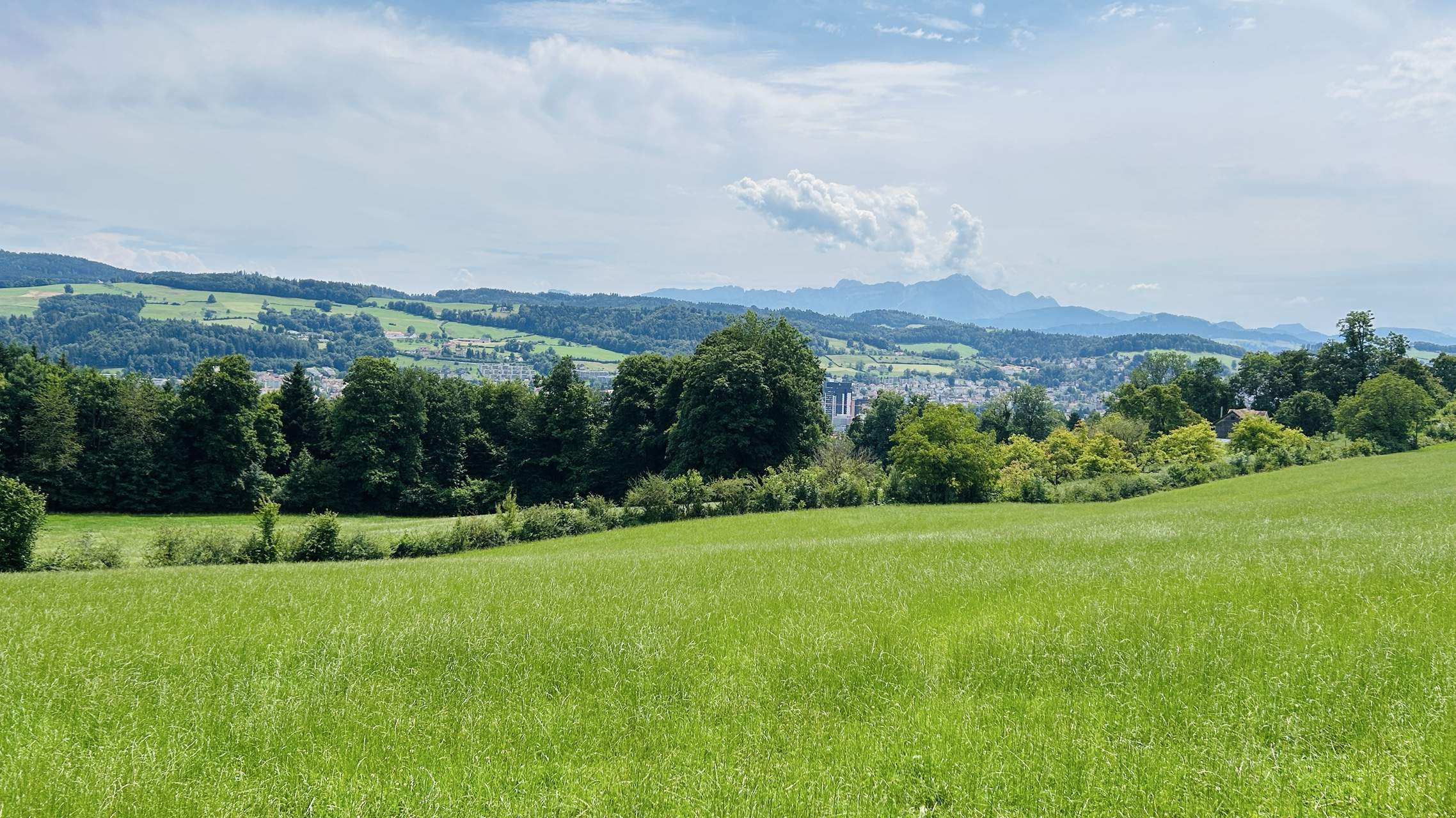 Bild ohne Beschreibung Bild ohne Beschreibung