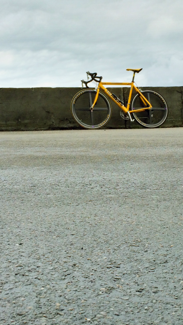 Bild ohne Beschreibung