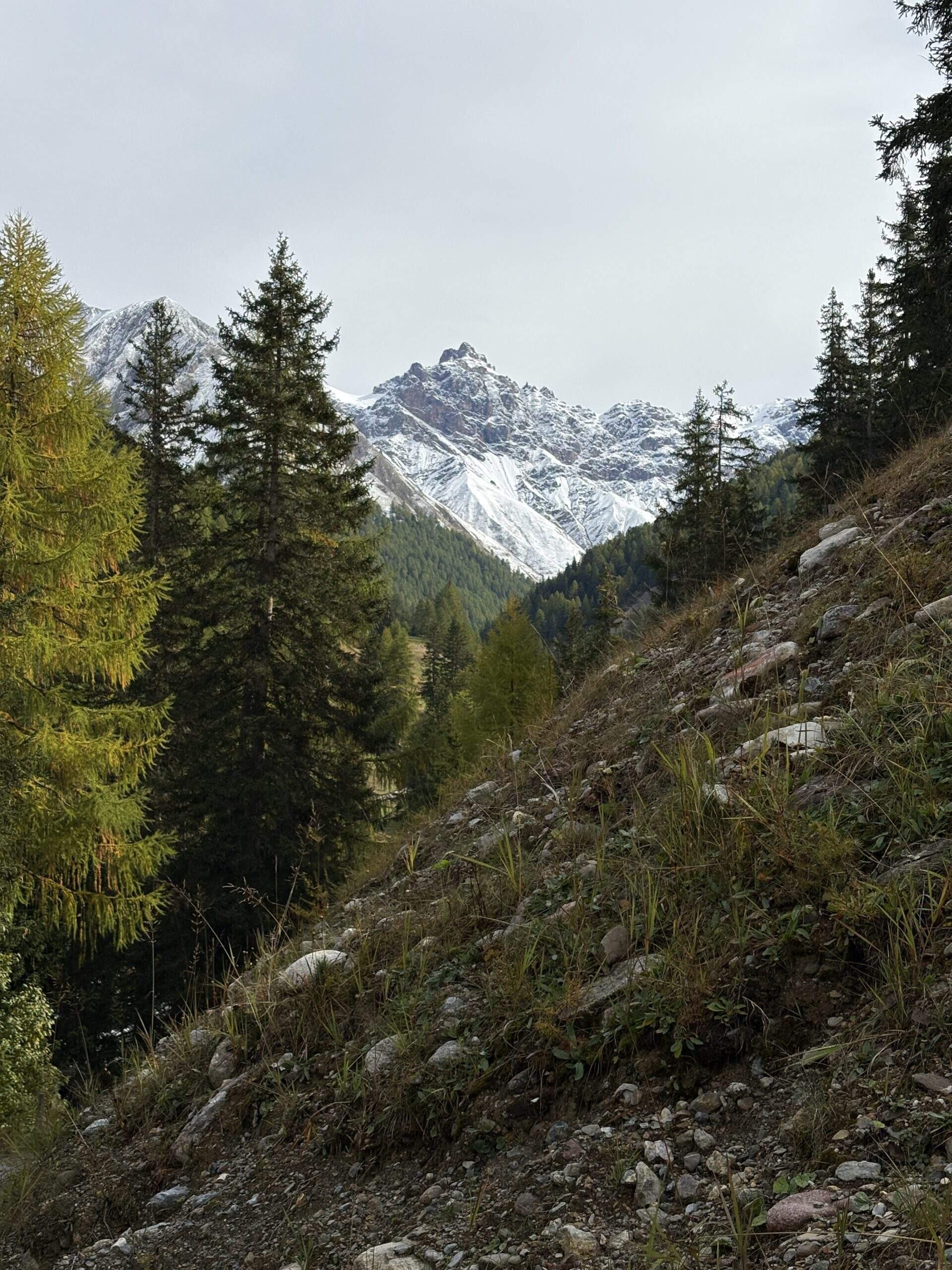 Bild ohne Beschreibung Bild ohne Beschreibung