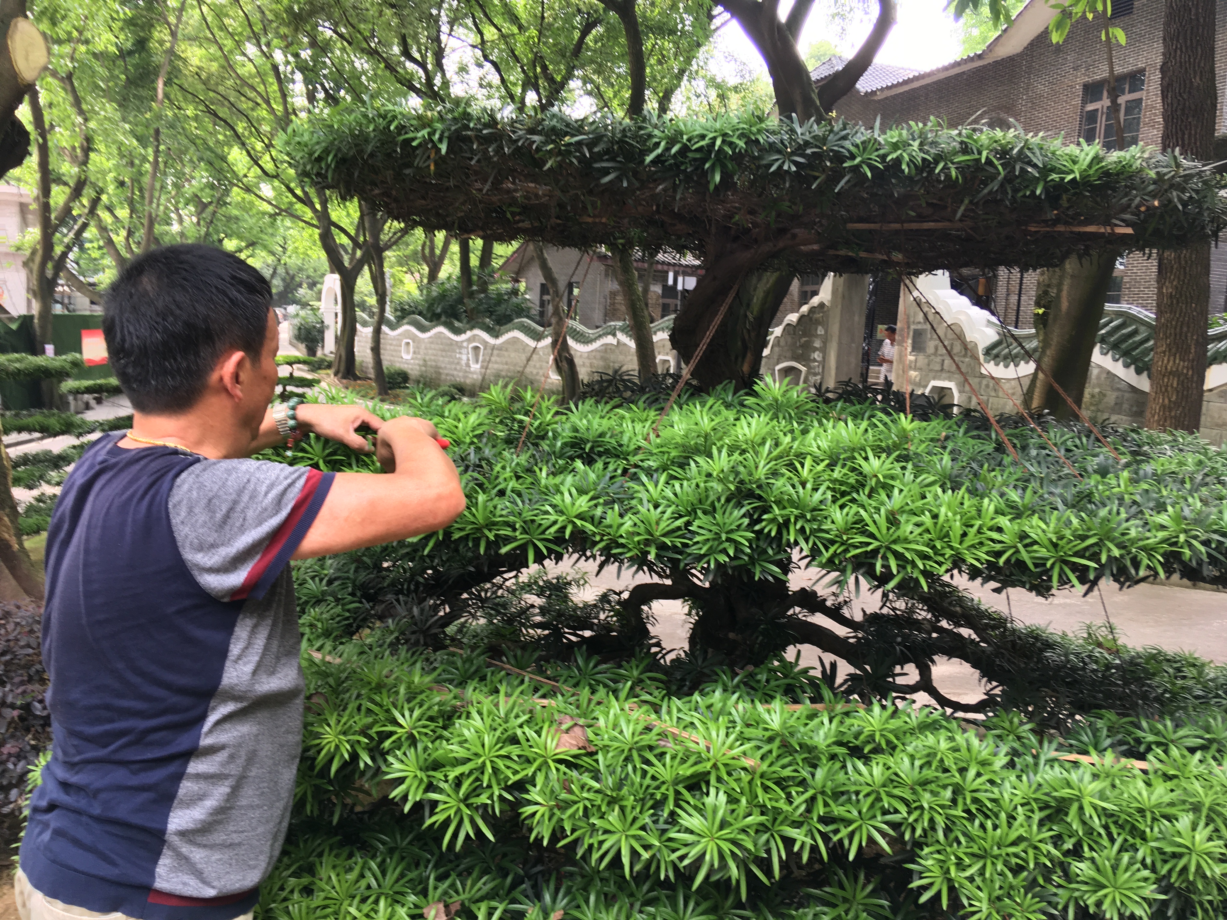 Bild ohne Beschreibung