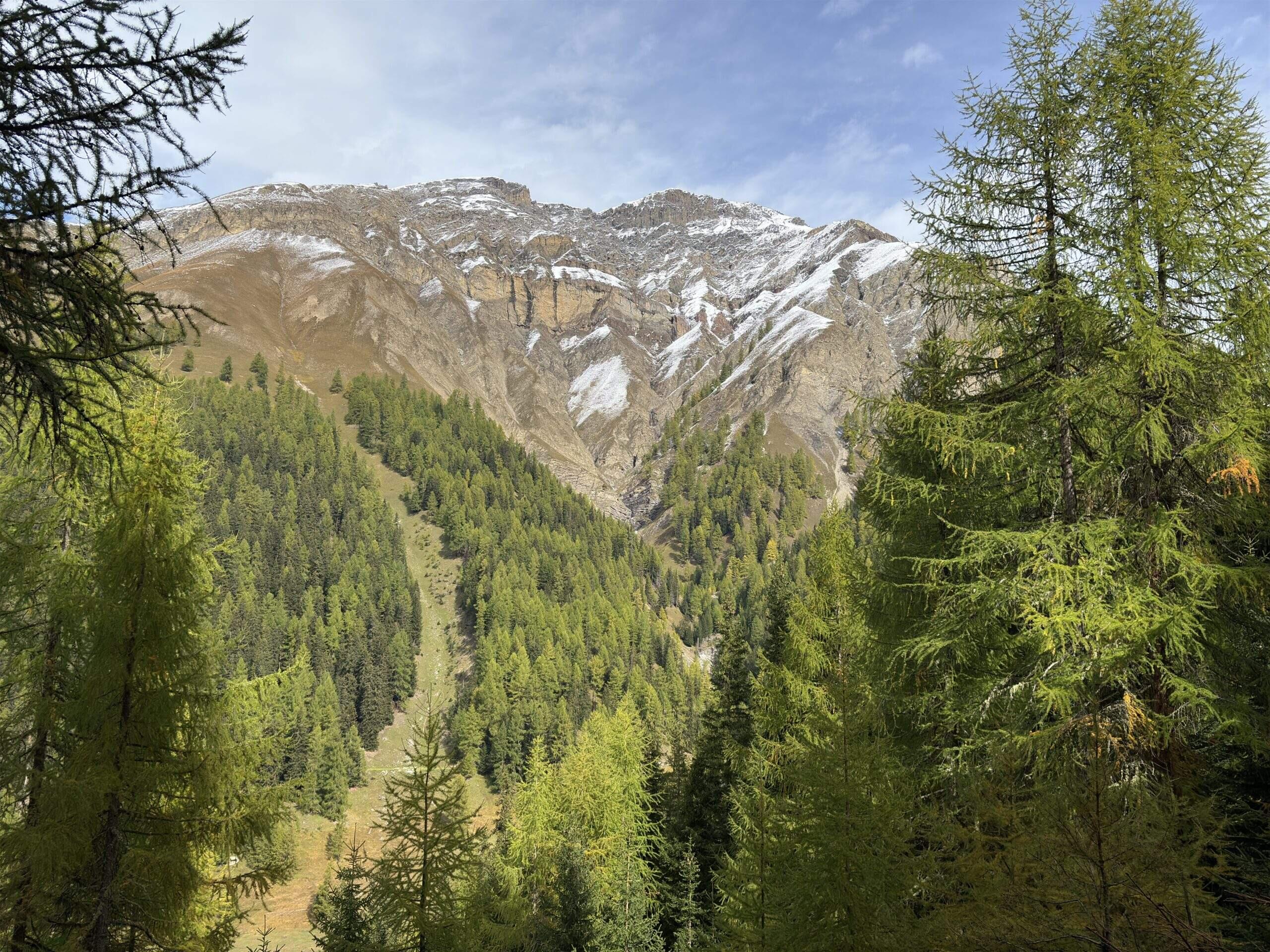 Bild ohne Beschreibung Bild ohne Beschreibung