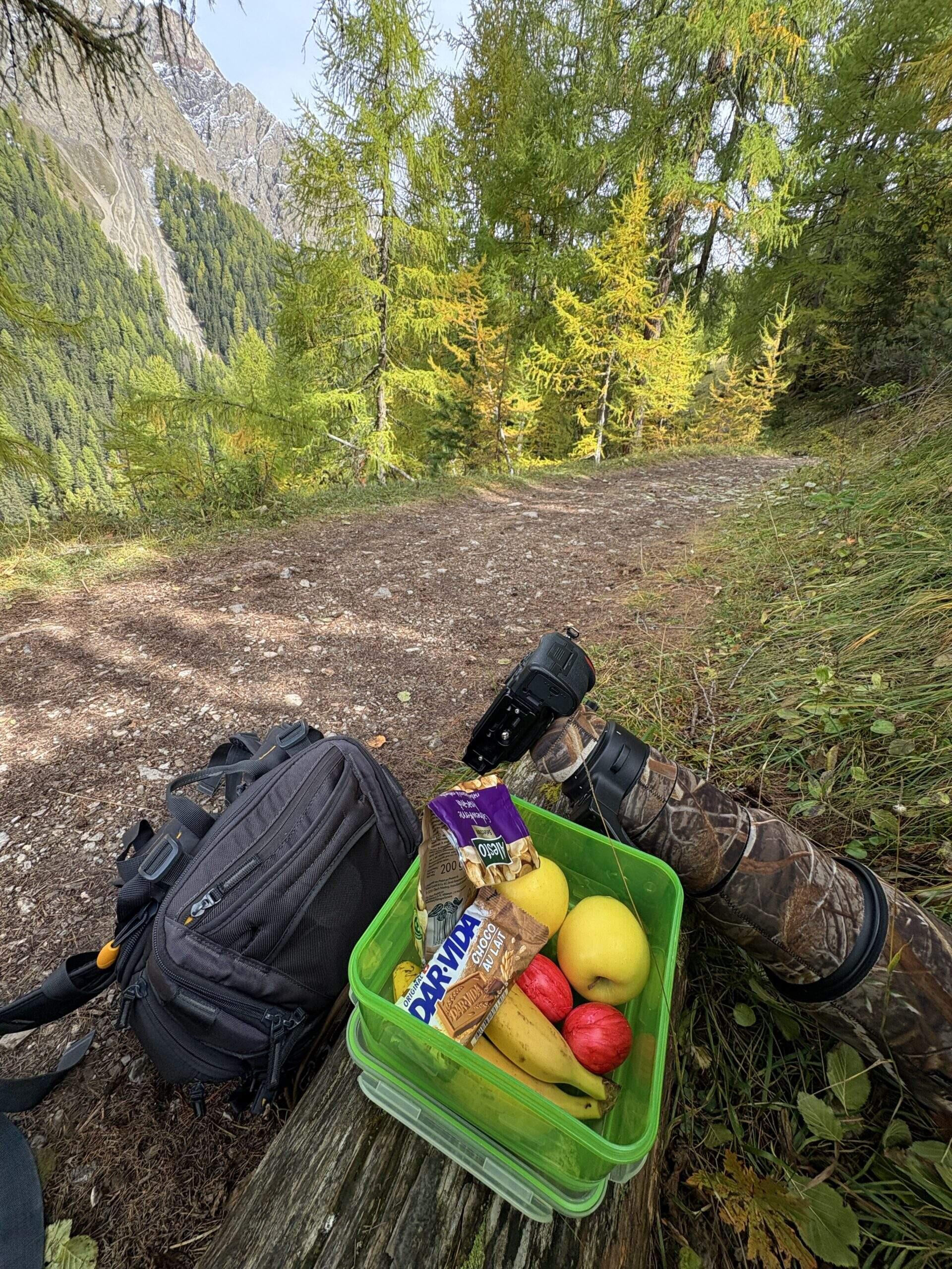 Bild ohne Beschreibung Bild ohne Beschreibung