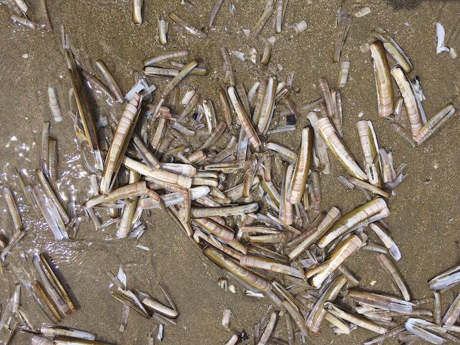 Bild ohne Beschreibung