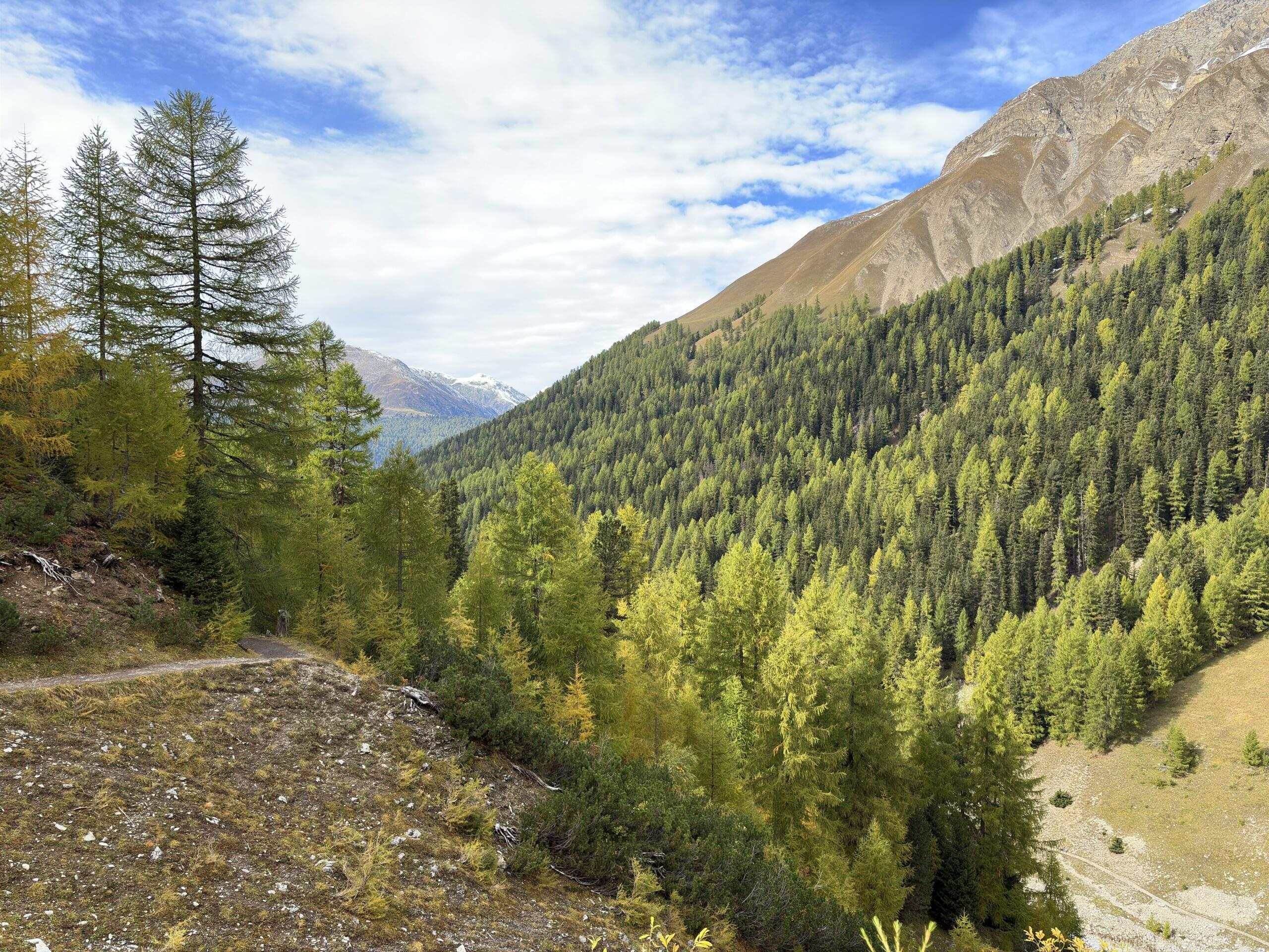 Bild ohne Beschreibung Bild ohne Beschreibung