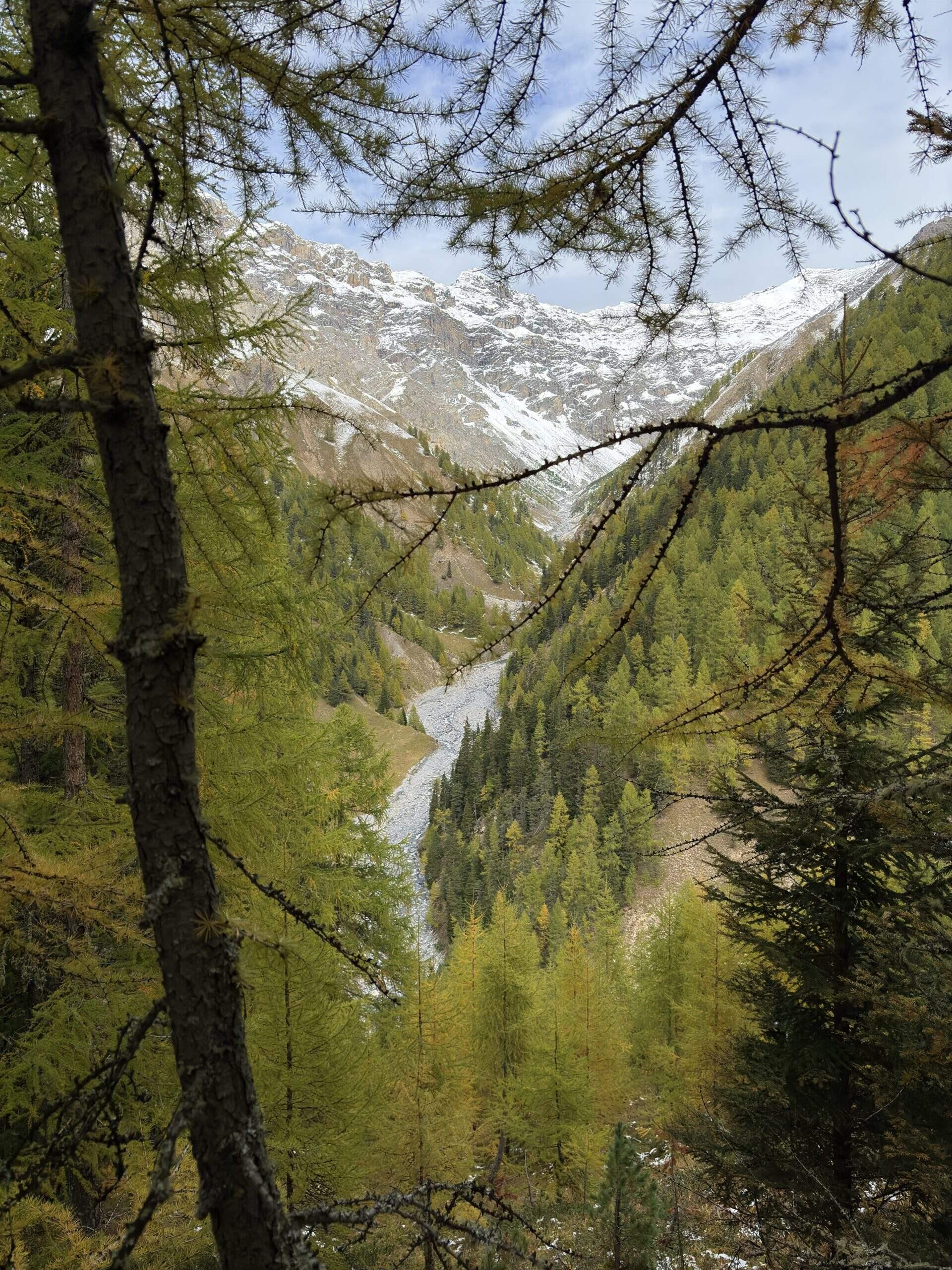 Bild ohne Beschreibung Bild ohne Beschreibung