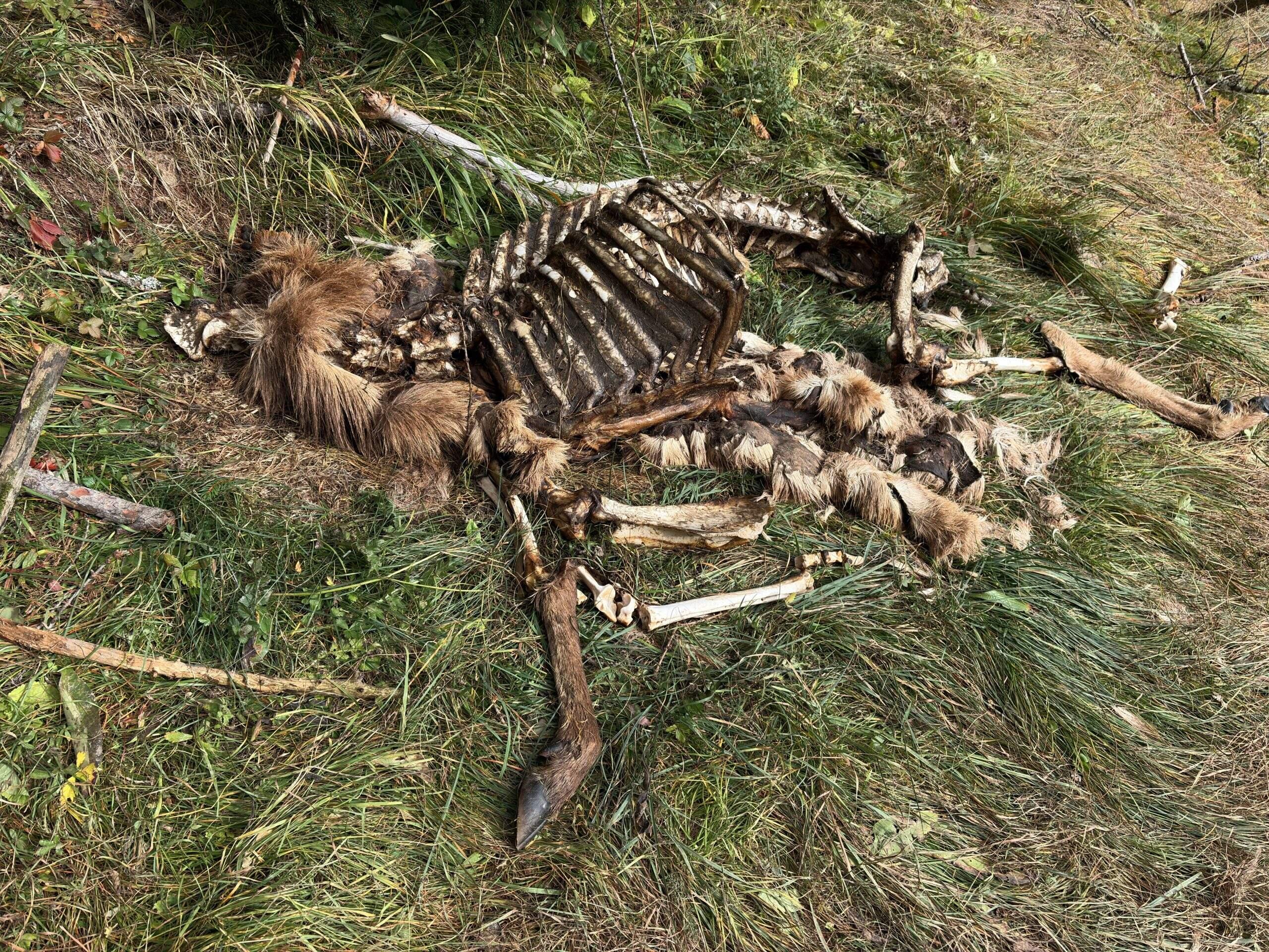 Bild ohne Beschreibung Bild ohne Beschreibung