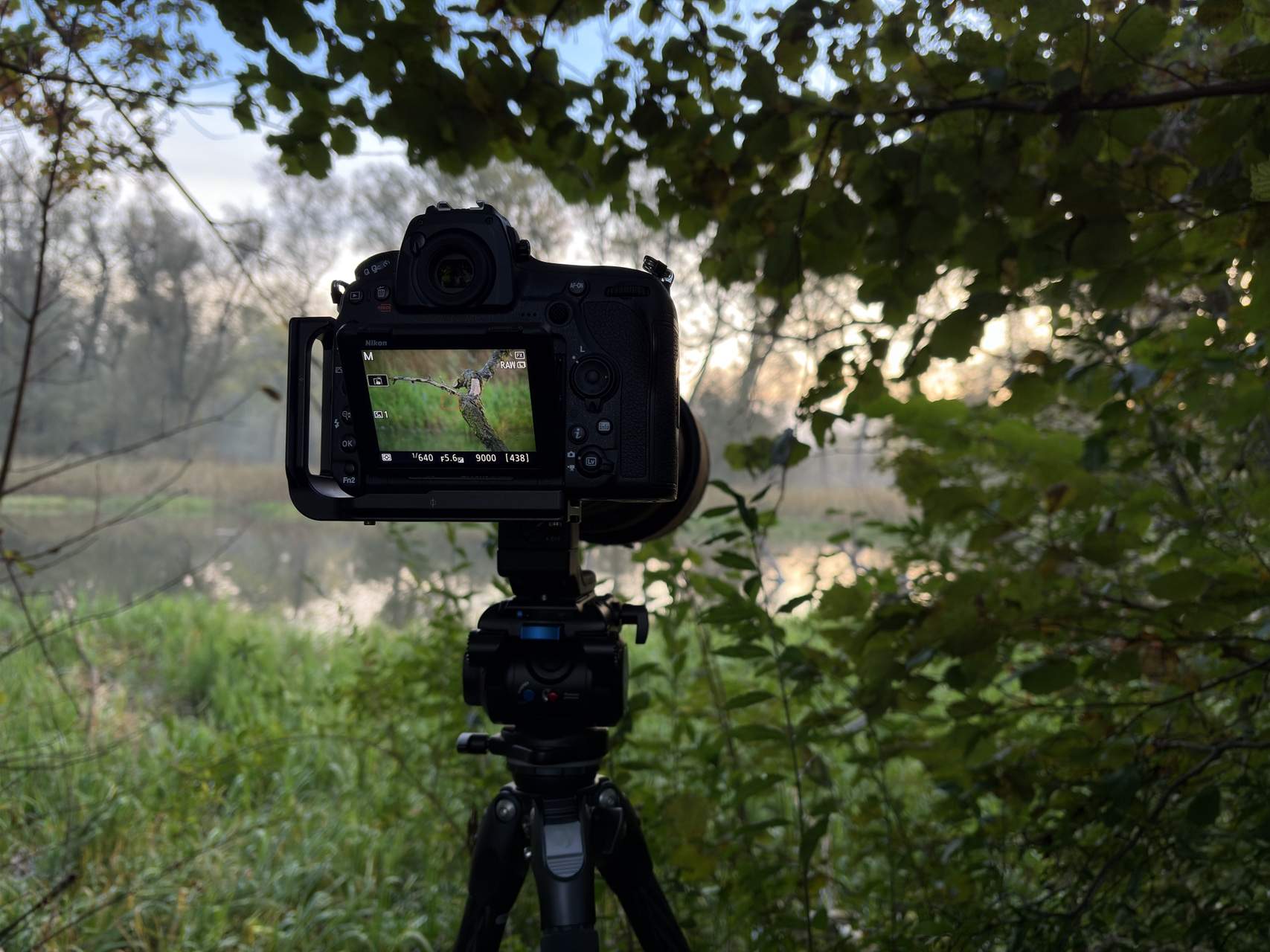 Bild ohne Beschreibung Bild ohne Beschreibung