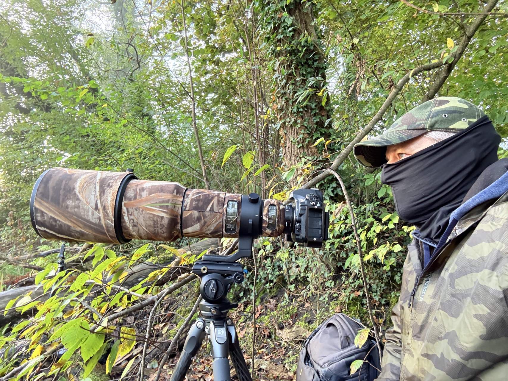 Bild ohne Beschreibung Bild ohne Beschreibung