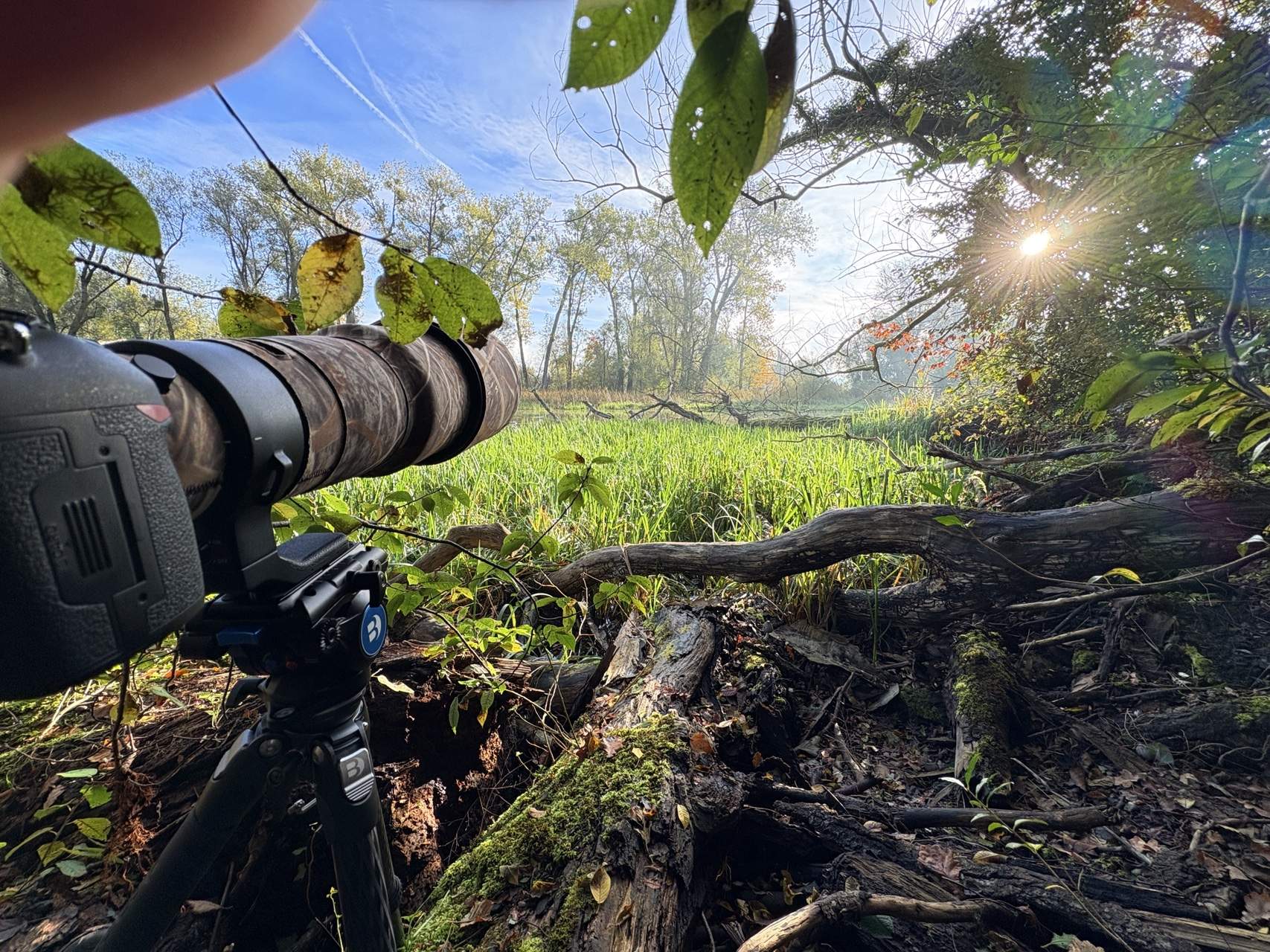 Bild ohne Beschreibung Bild ohne Beschreibung