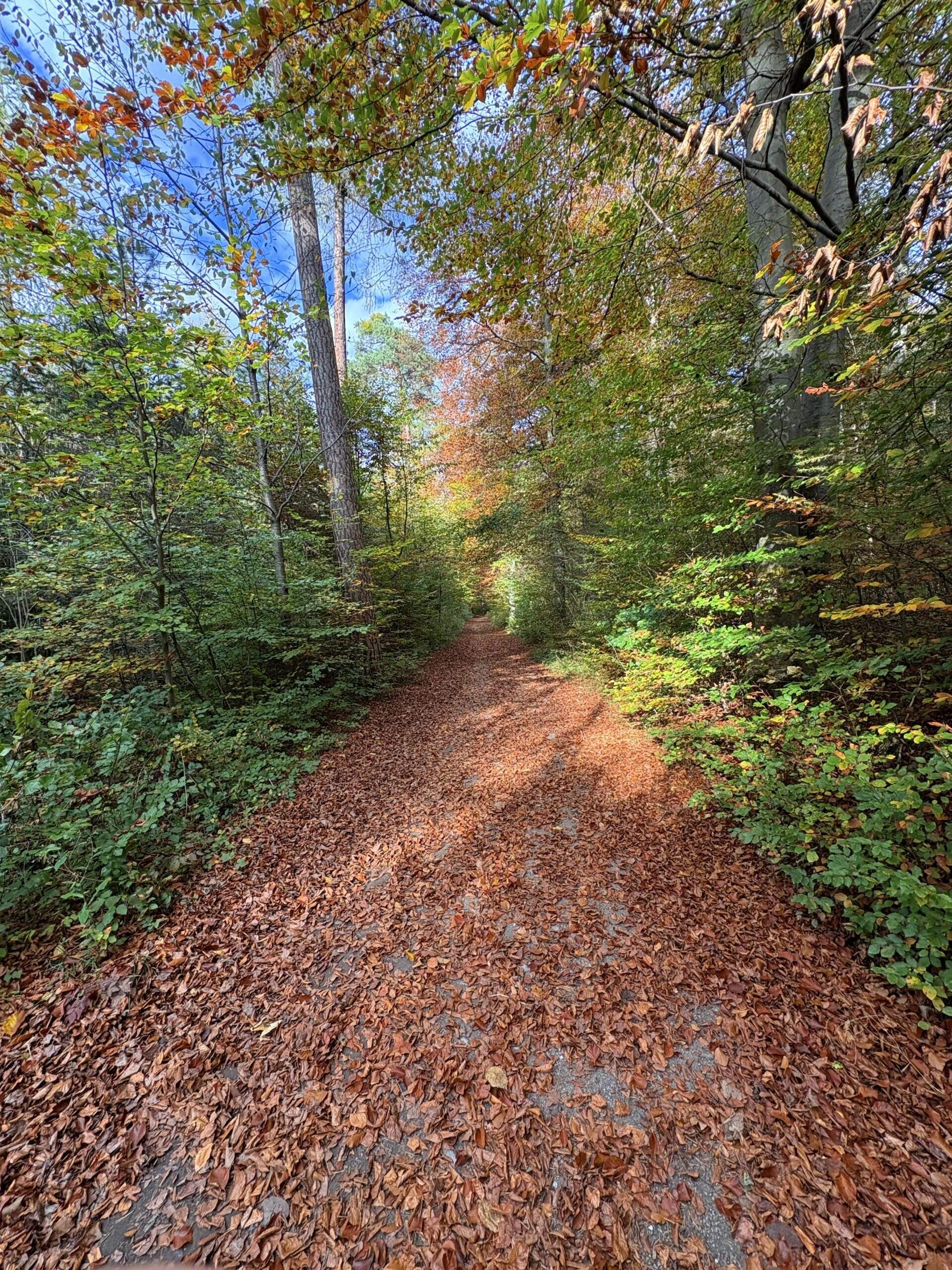 Bild ohne Beschreibung Bild ohne Beschreibung