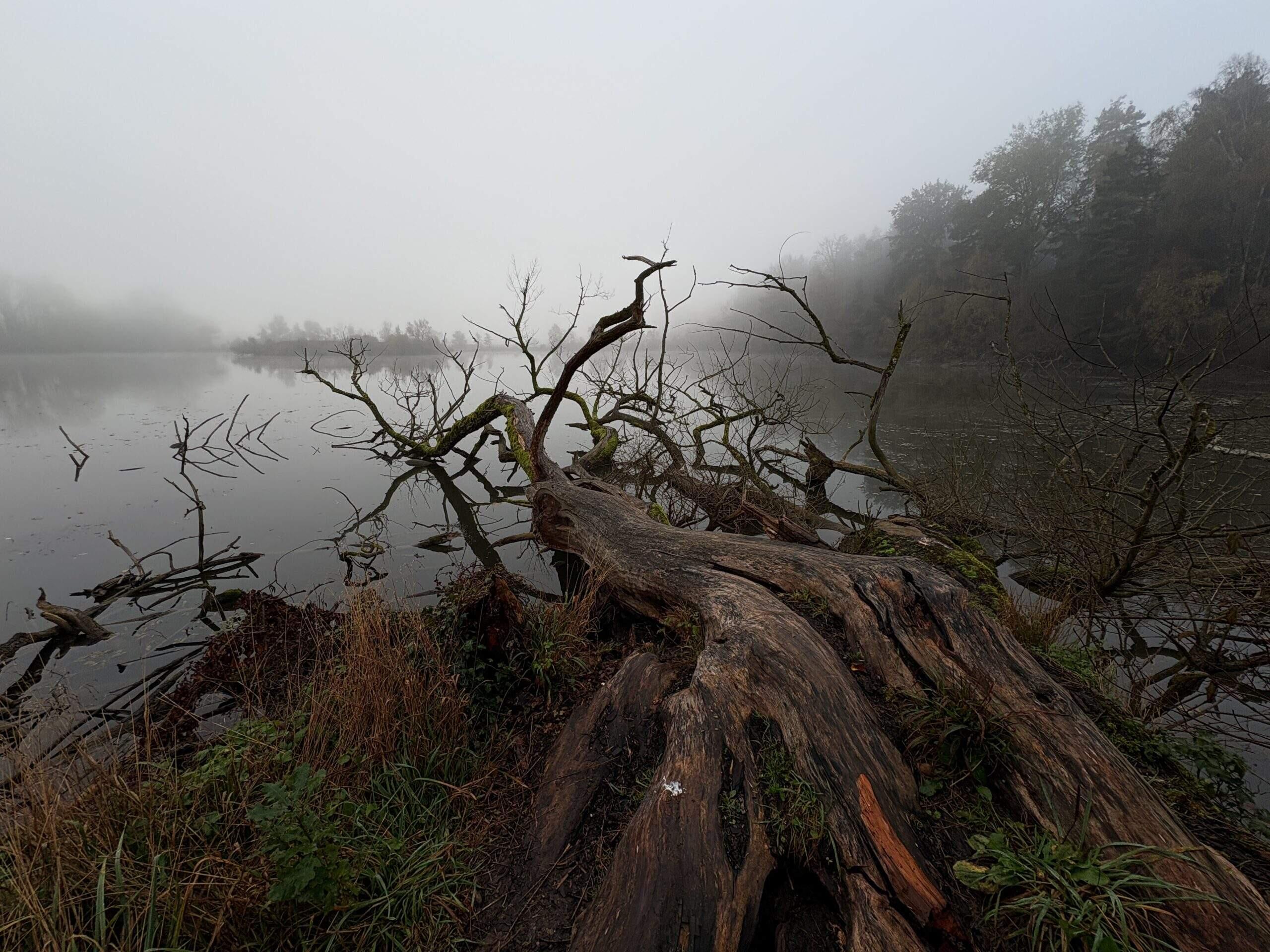 Bild ohne Beschreibung Bild ohne Beschreibung