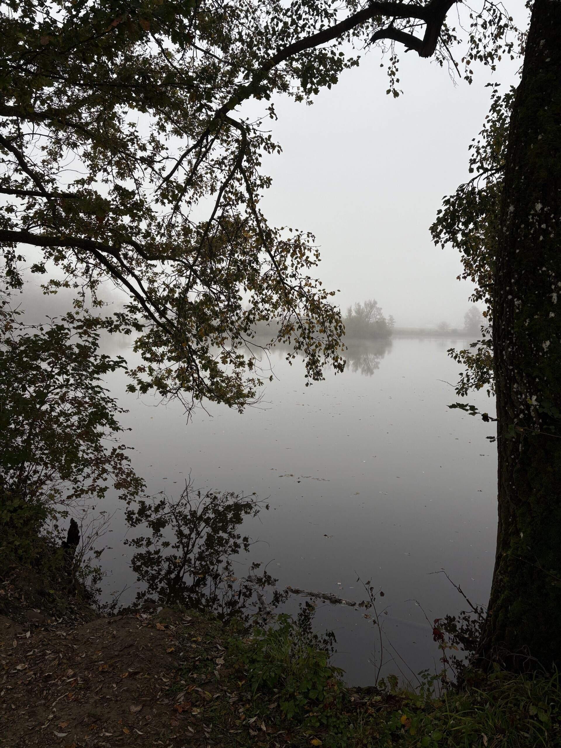 Bild ohne Beschreibung Bild ohne Beschreibung